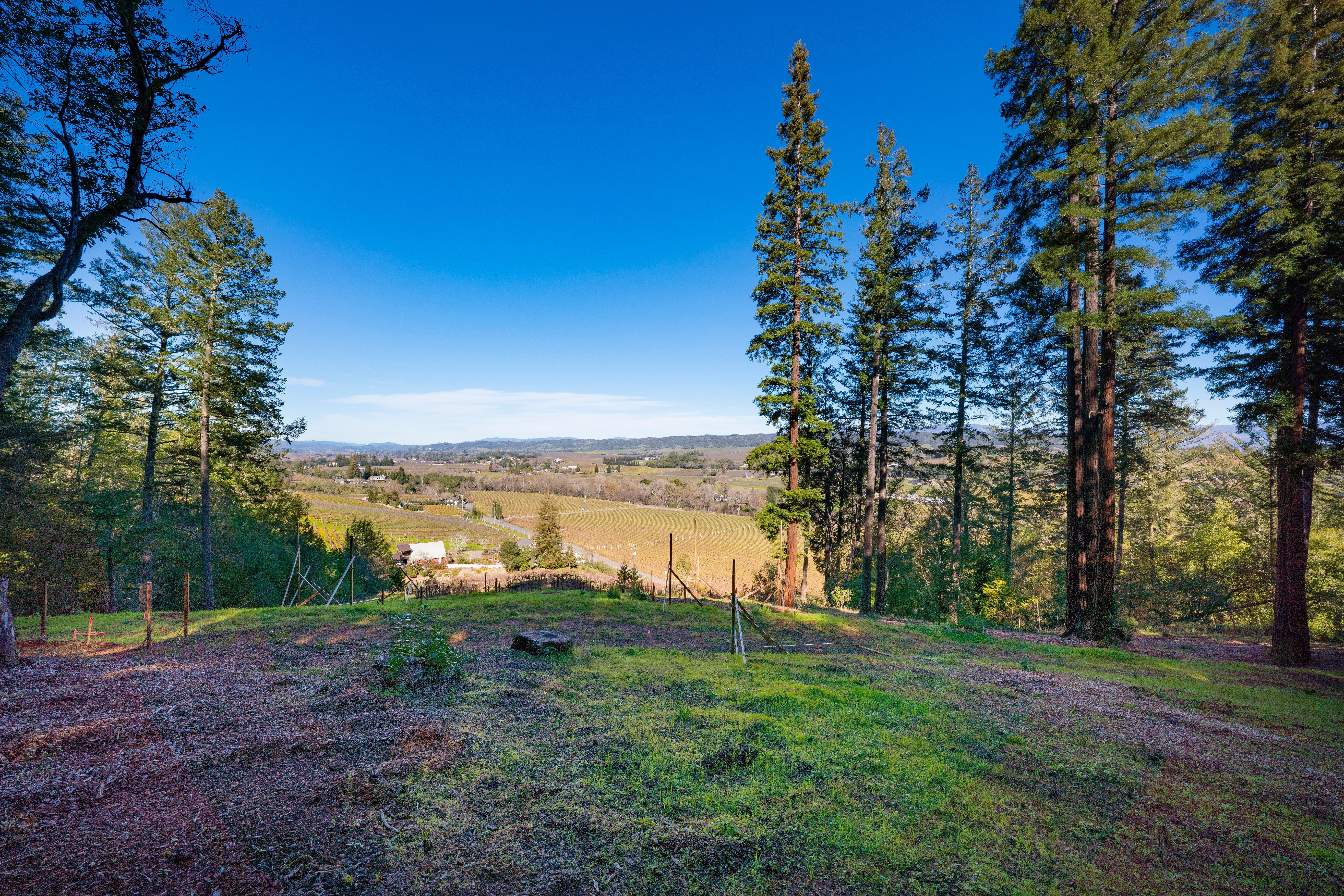 3210 West Dry Creek Road, Healdsburg, CA 95448 - 物件實景