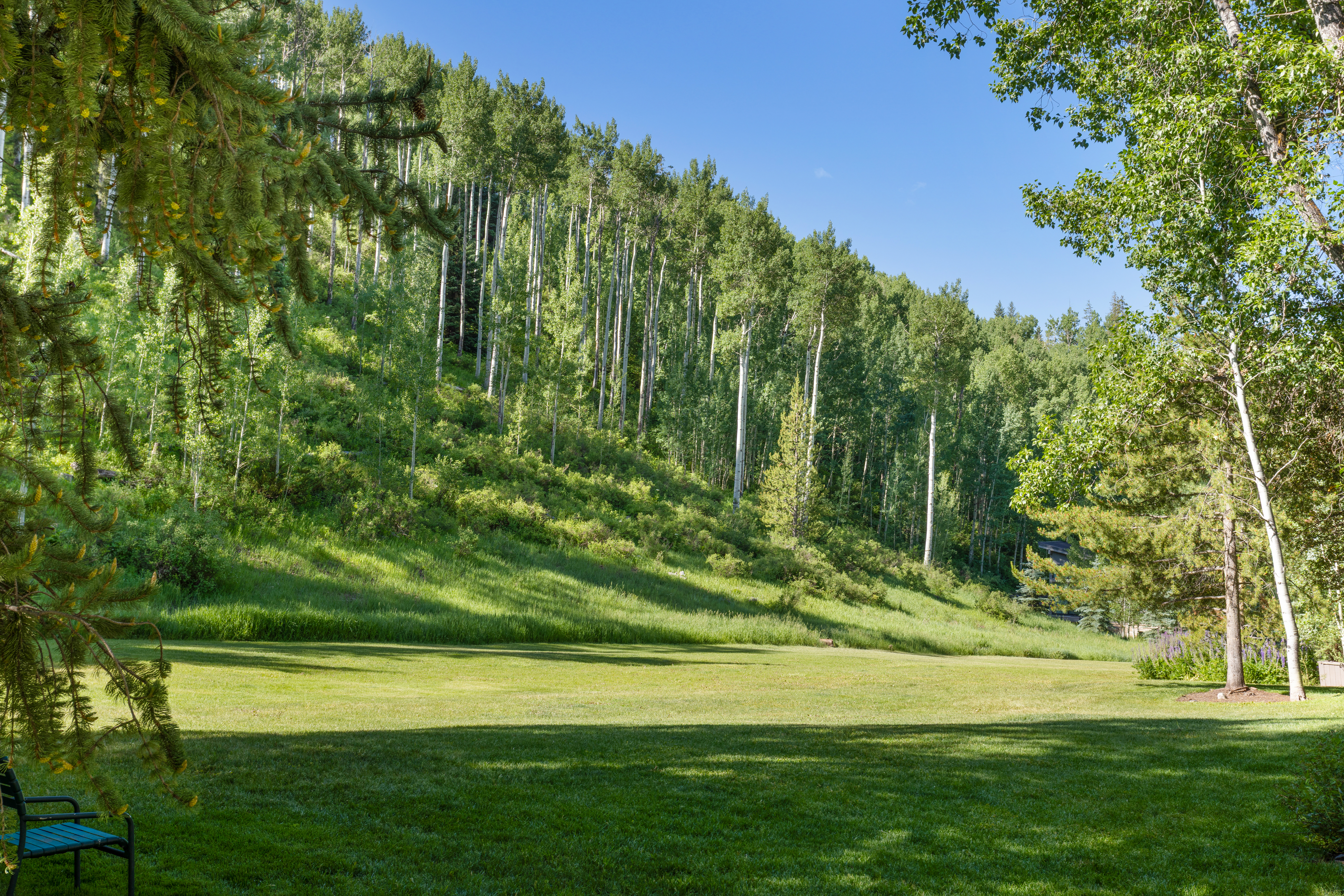  Open Acres in Genuinely Tranquil Alpine Setting that is Hard to Come by in Vail - 物件實景
