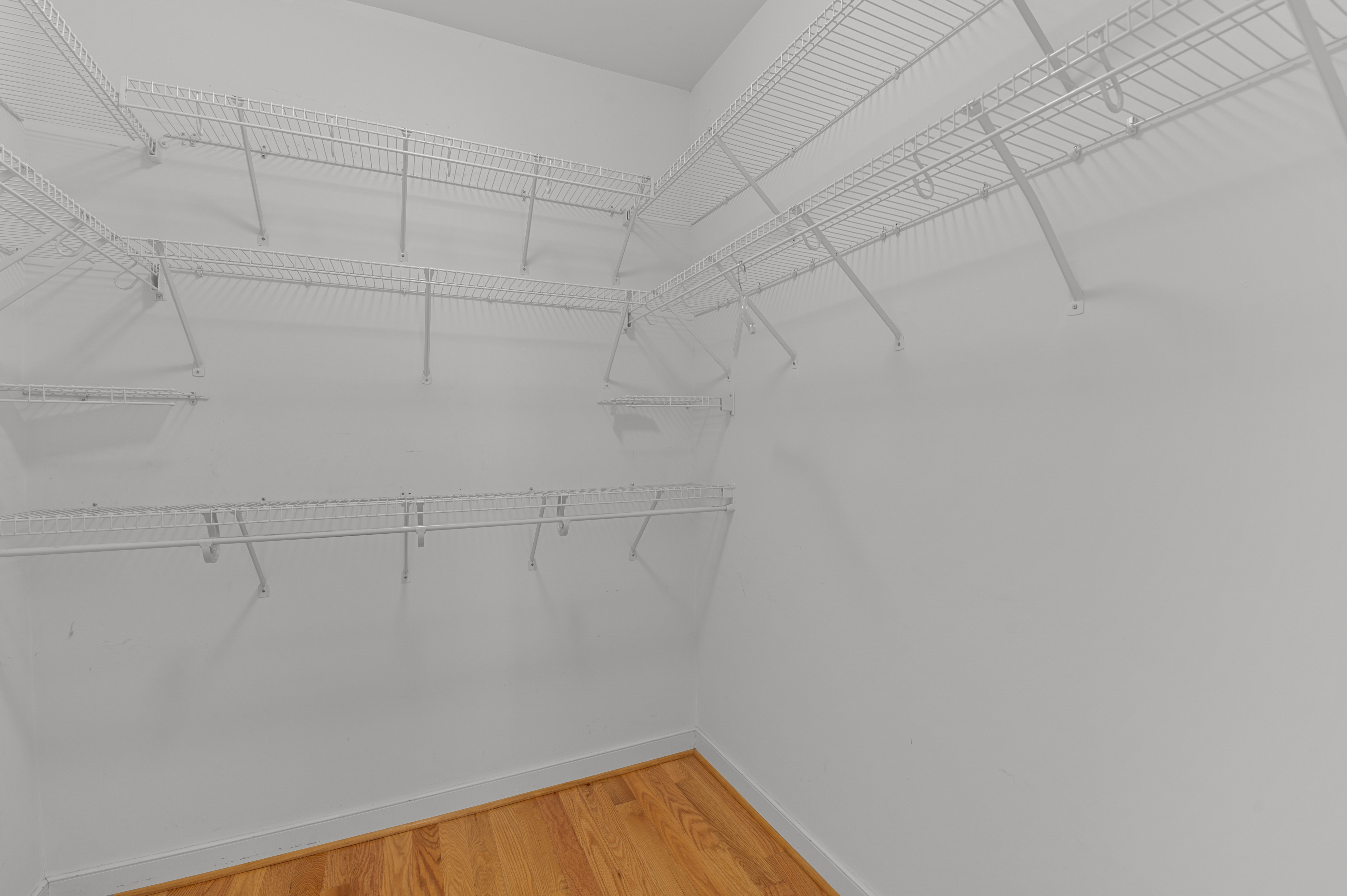  232 Suri Drive, Williamsburg, VA 23185 - 物件實景