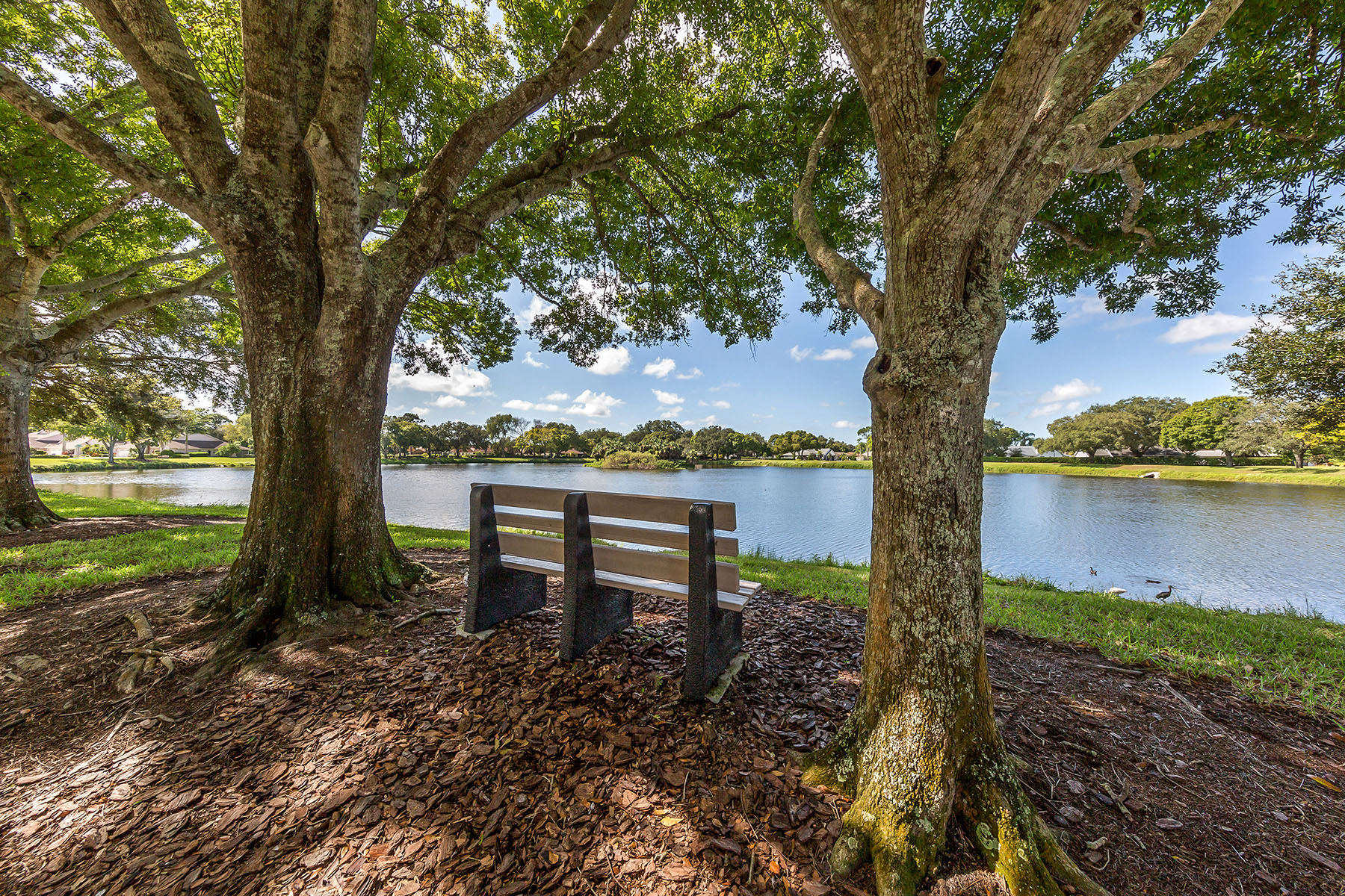  ISLES OF CHESTNUT CREEK - 物件實景