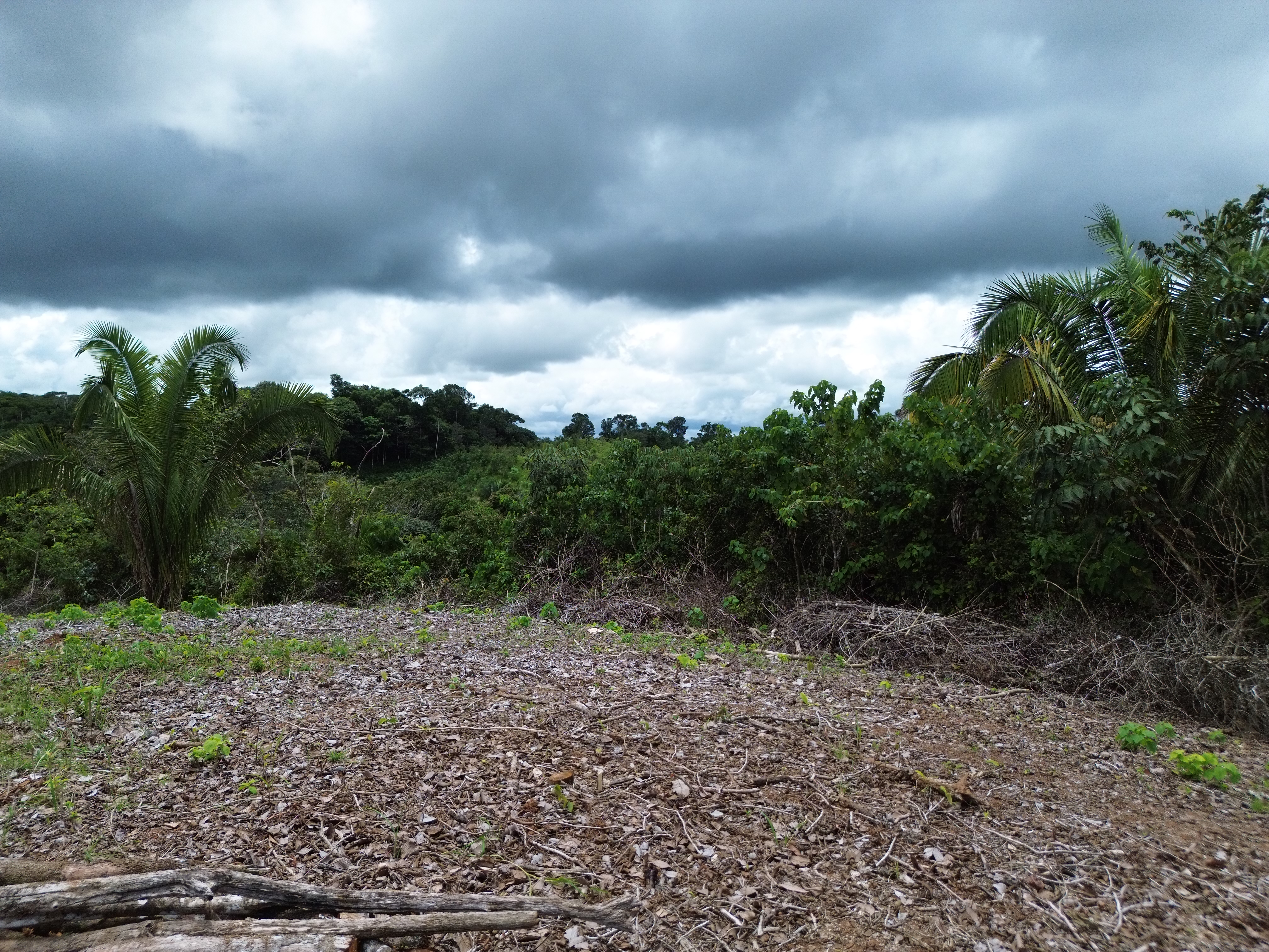 Palmar Norte, Palmar, Puntarenas, CR, ,Land,For Sale,Palmar Norte,1667866