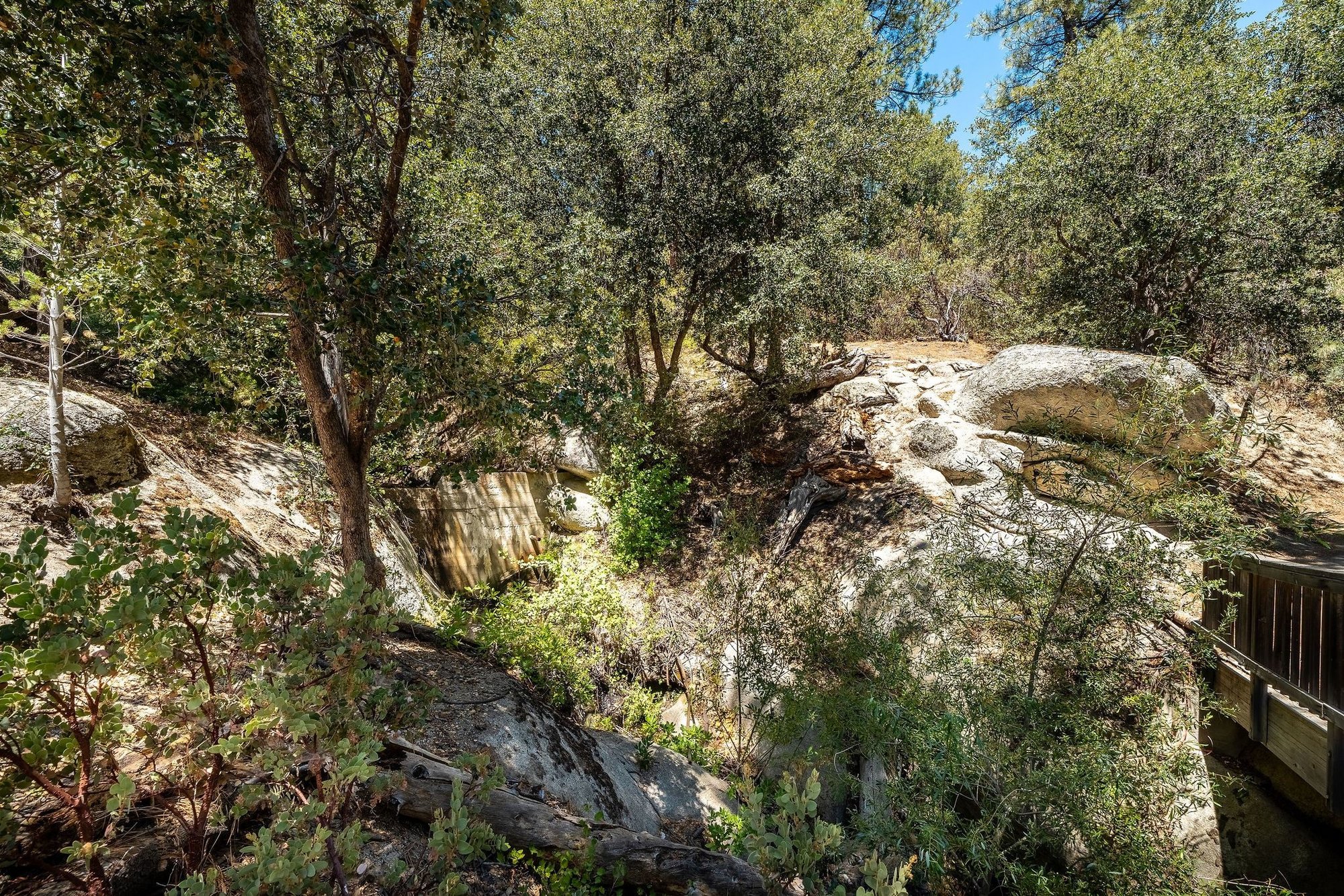  Foster Lake Retreat - 物件實景