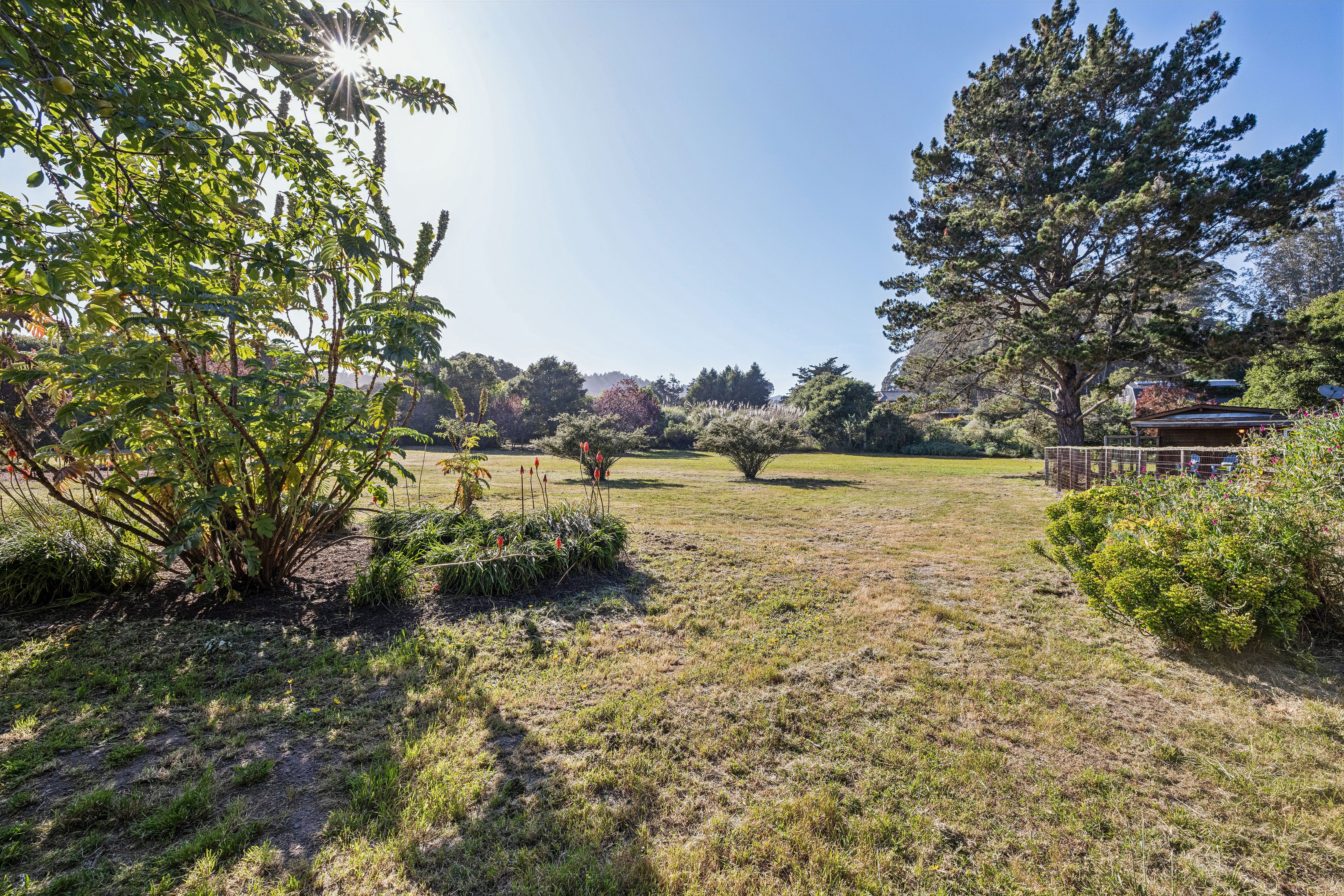  Bolinas Legend – Oldest Residence on Coastal Marin - 物件實景