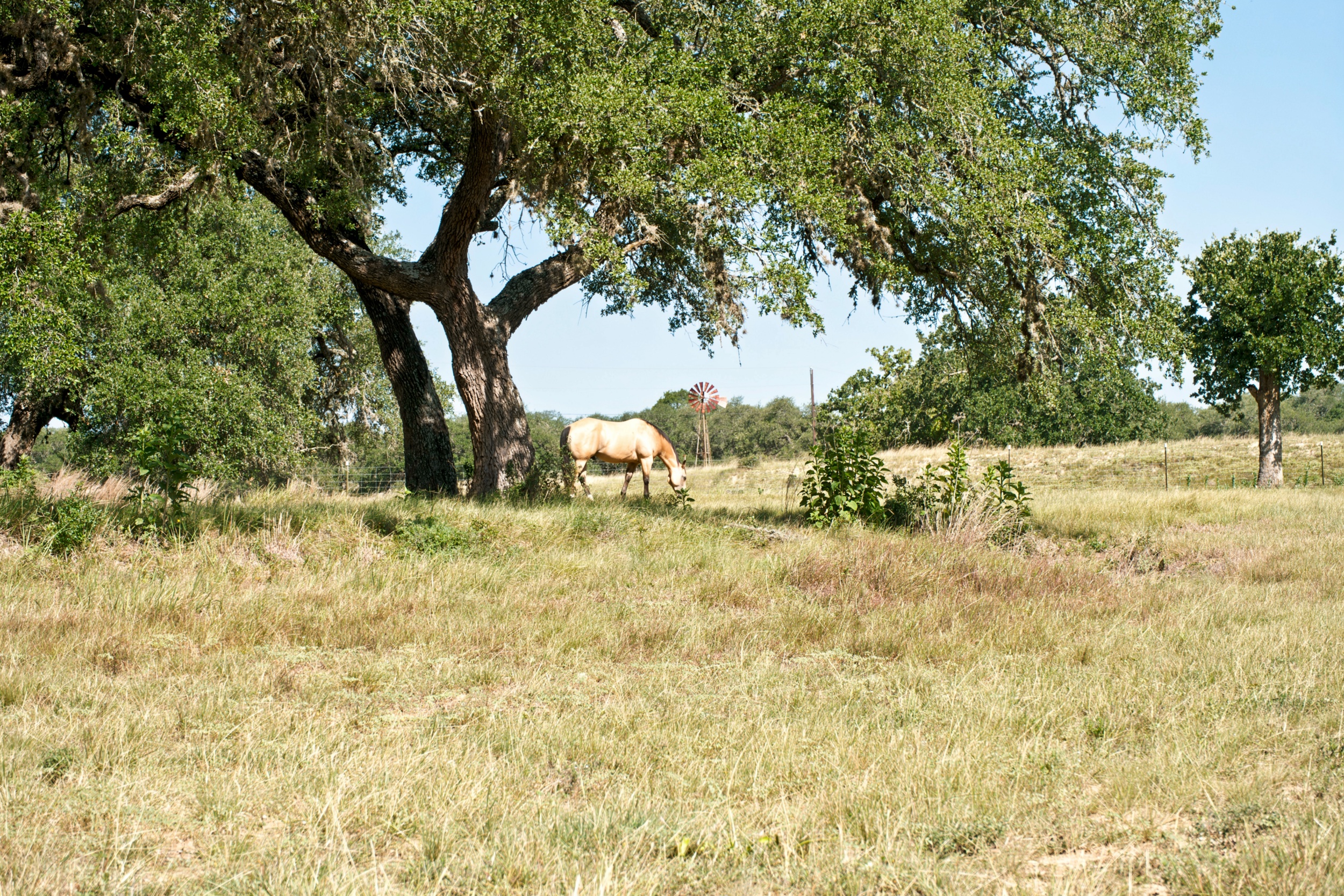  Uballe Ranch in Blanco County - 物件實景