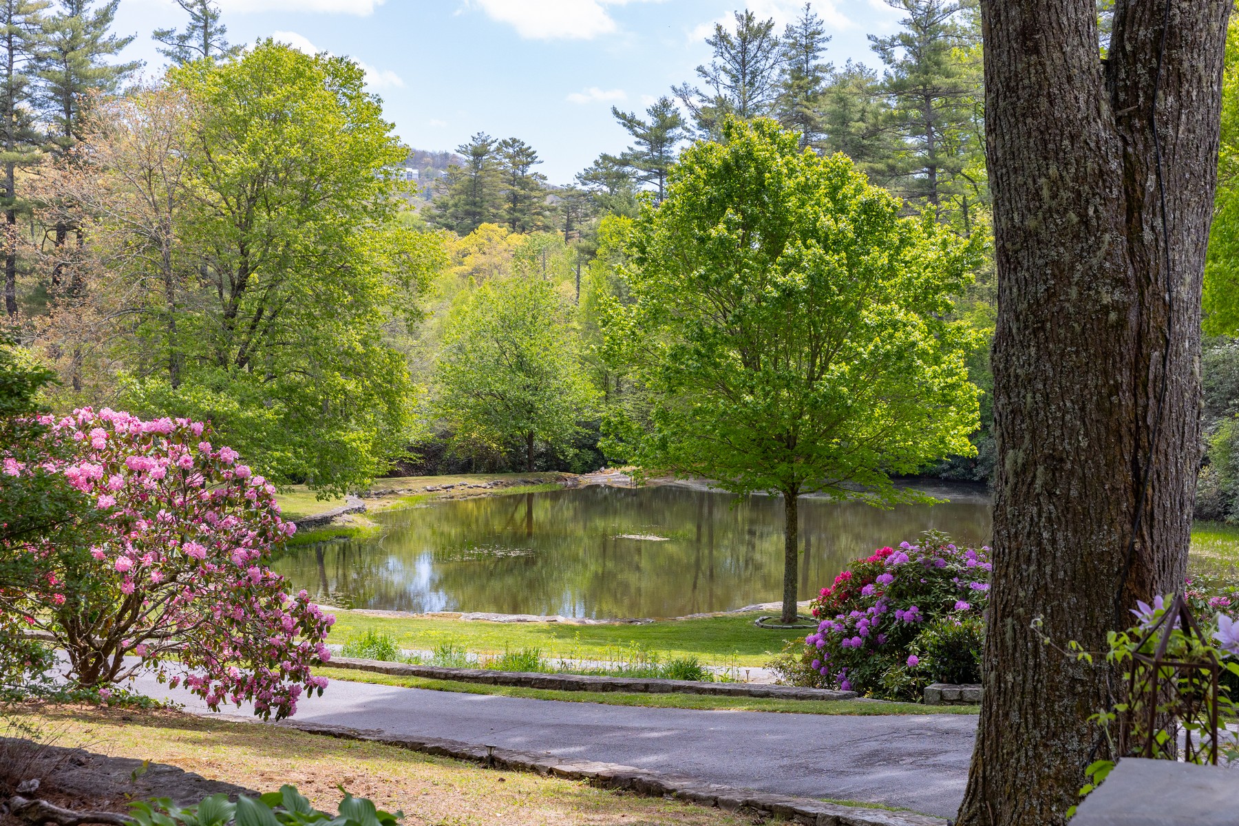  Frog Pond Farm - 物件實景