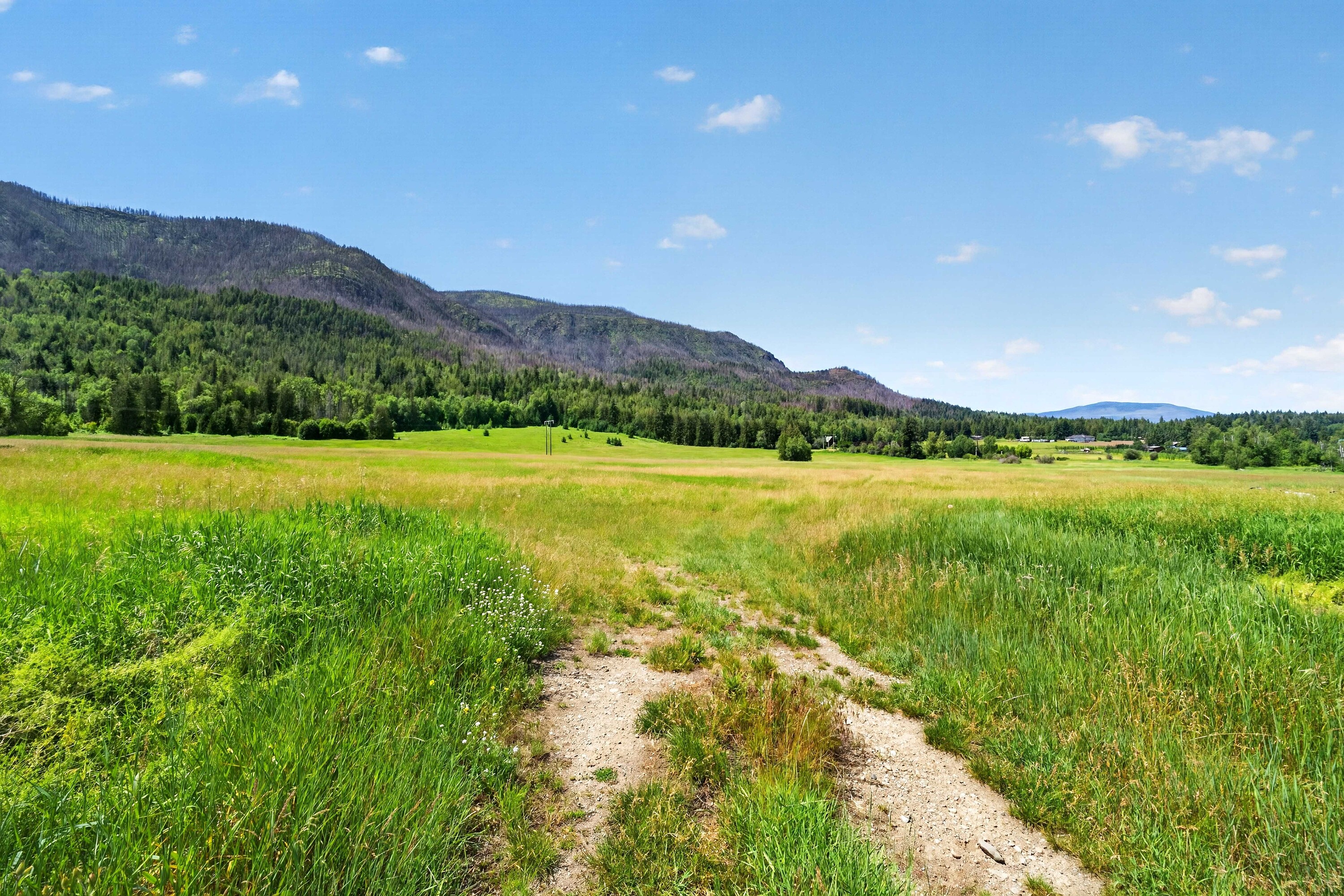  158 Acres Lakeview ALR Land - 物件實景