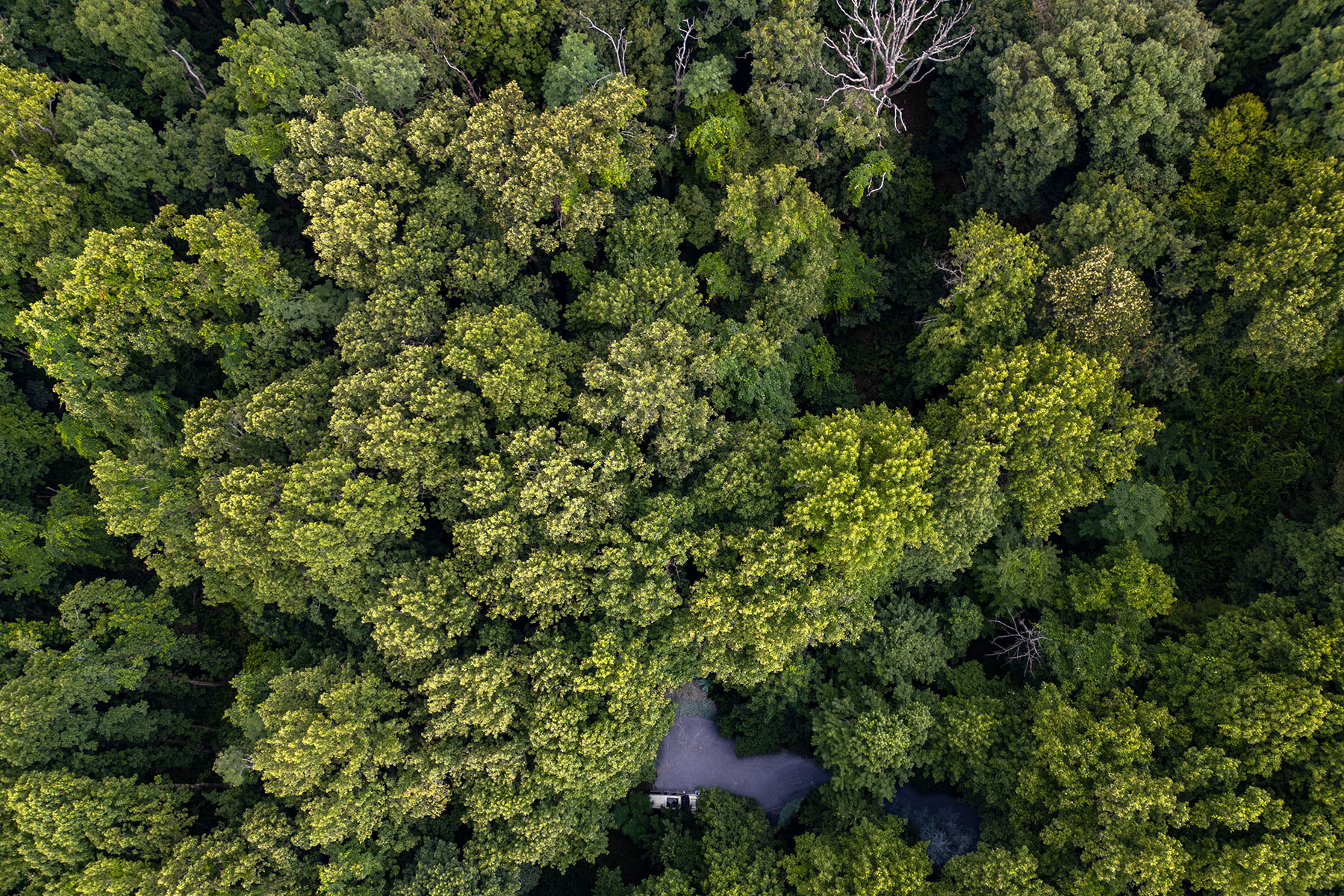  THE ORCHARDS OF MAYVIEW - BLOWING ROCK - 物件實景