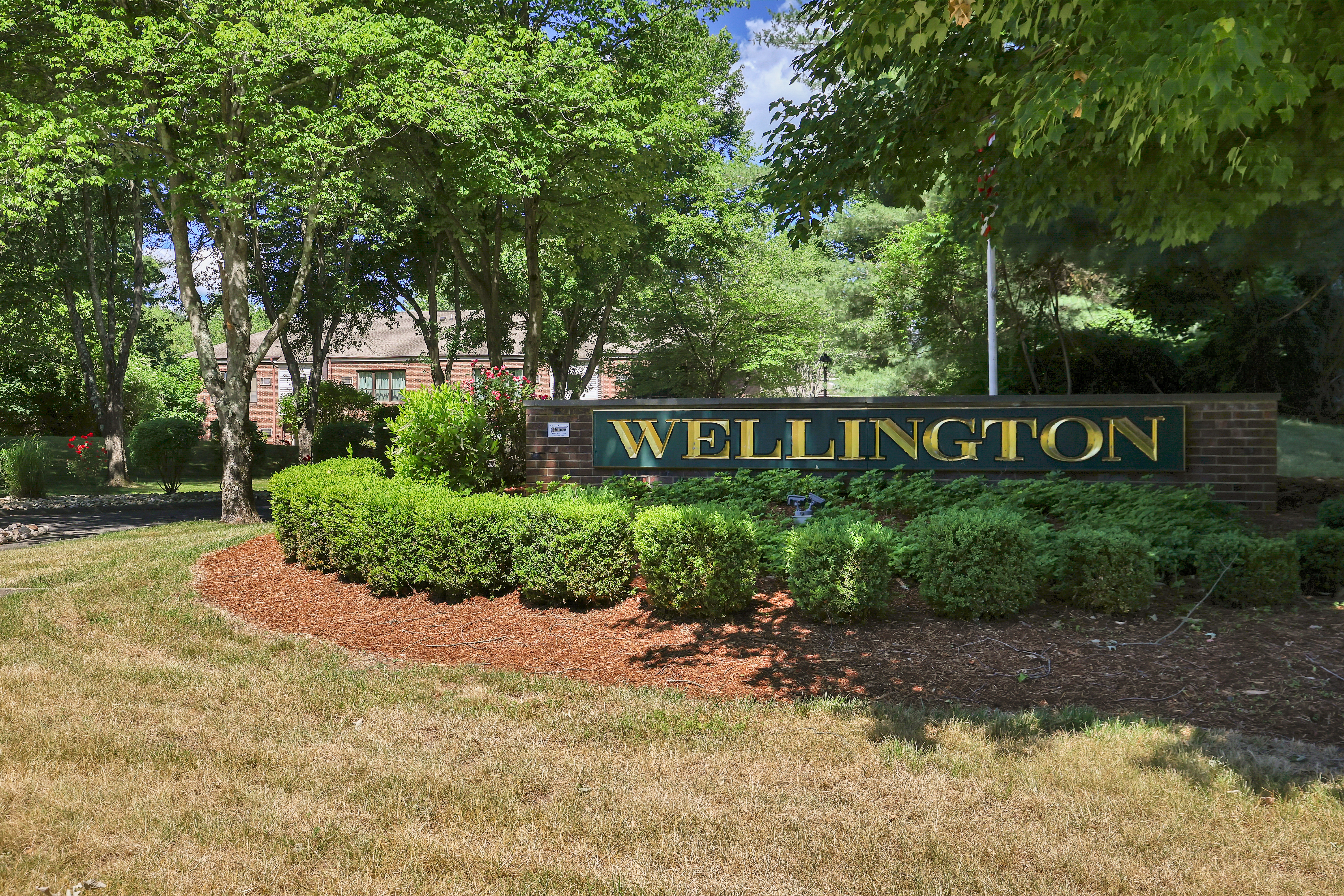  4 Wellington Drive - 物件實景