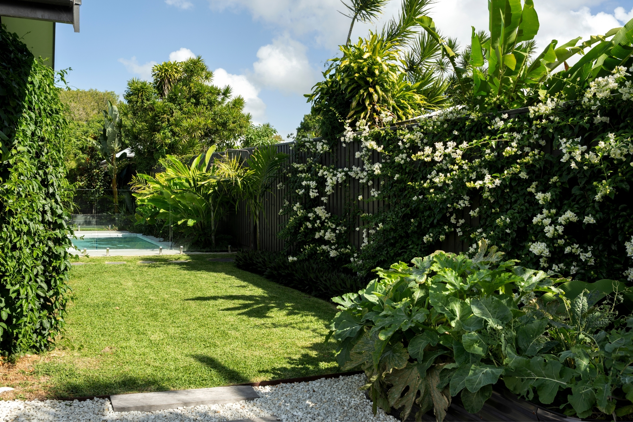  58 Sunrise Boulevard, Byron Bay - 物件實景