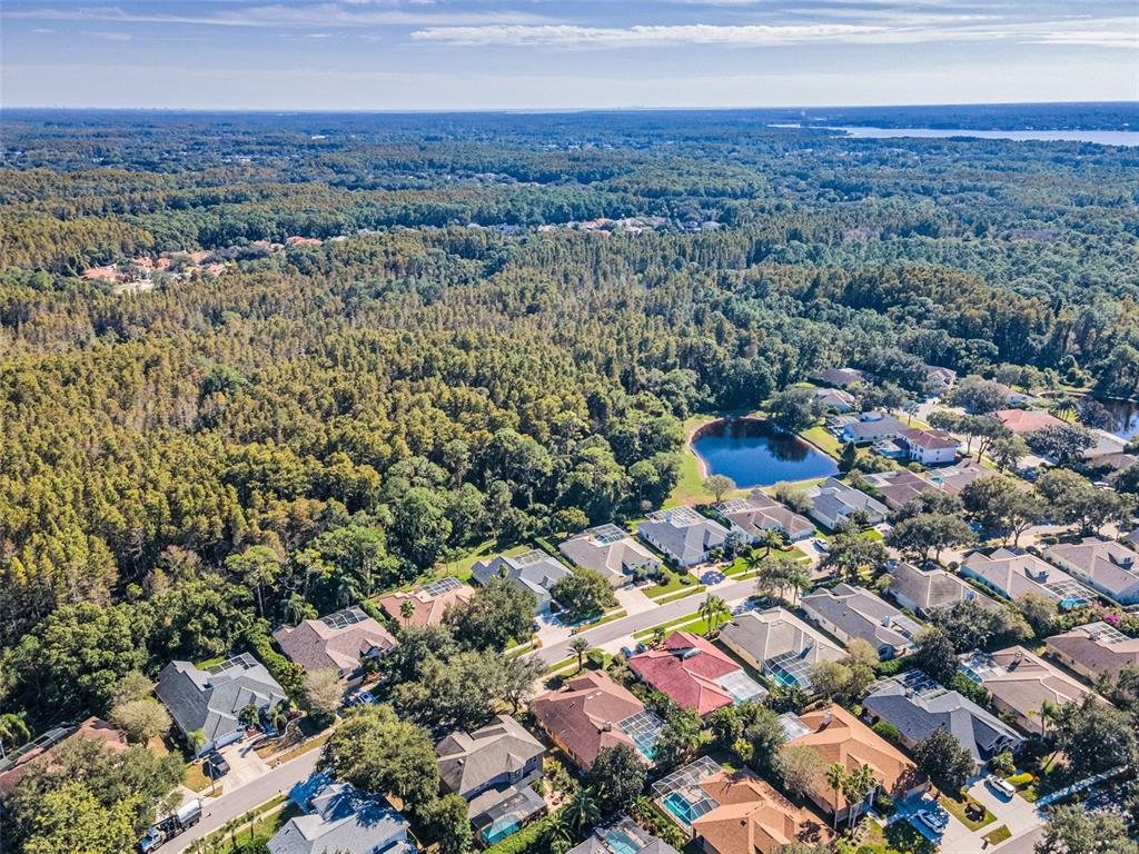 Palm Harbor, Florida, 34685, United States, 4 Bedrooms Bedrooms, ,3 BathroomsBathrooms,Residential,For Sale,1987675