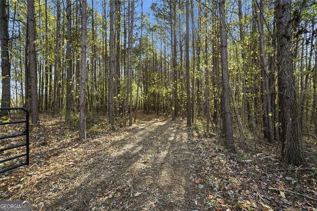 Jasper, Georgia, 30143, United States, ,Land,For Sale,1996551