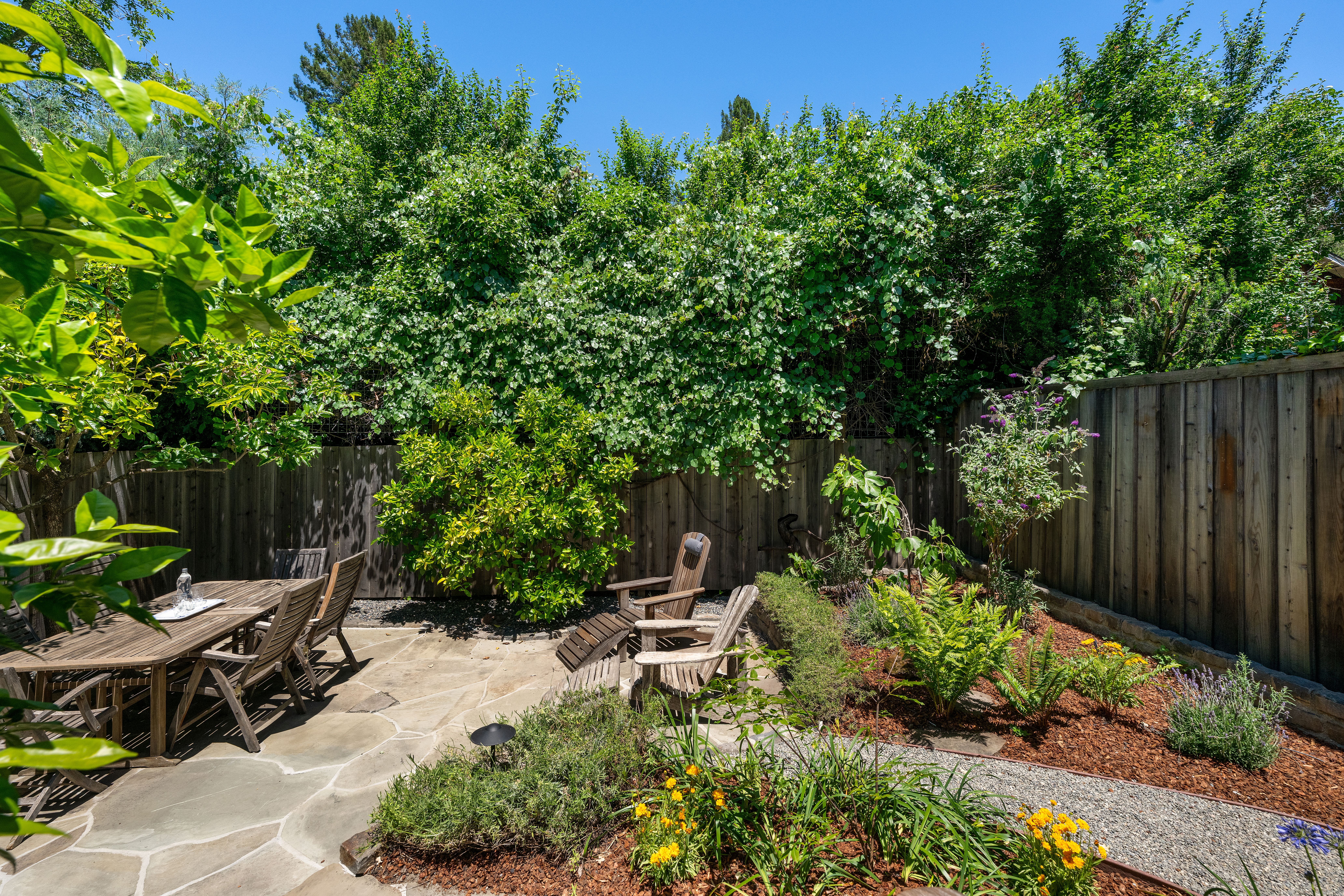  Remodeled San Anselmo Charmer - 物件實景
