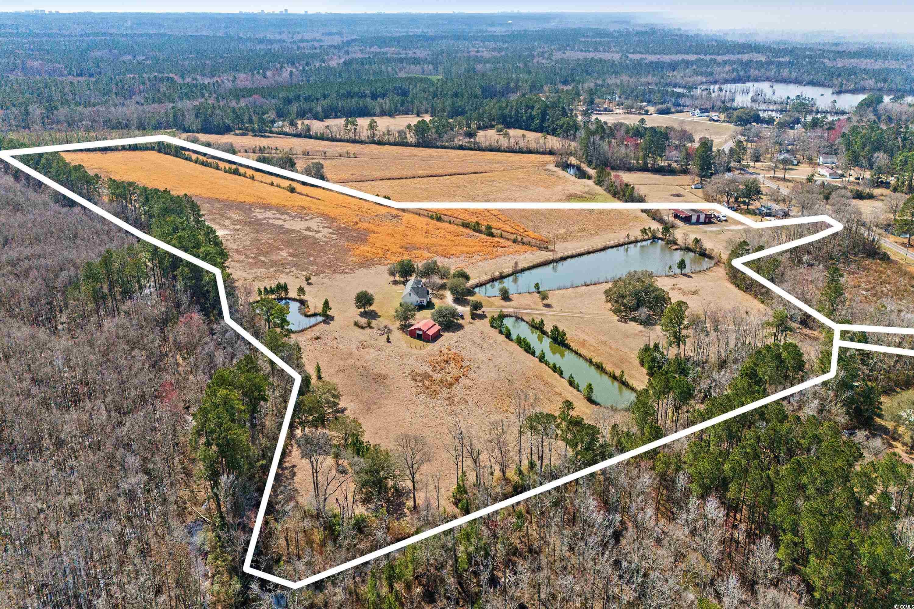 Longs, South Carolina, 29568, United States, ,Land,For Sale,1838298
