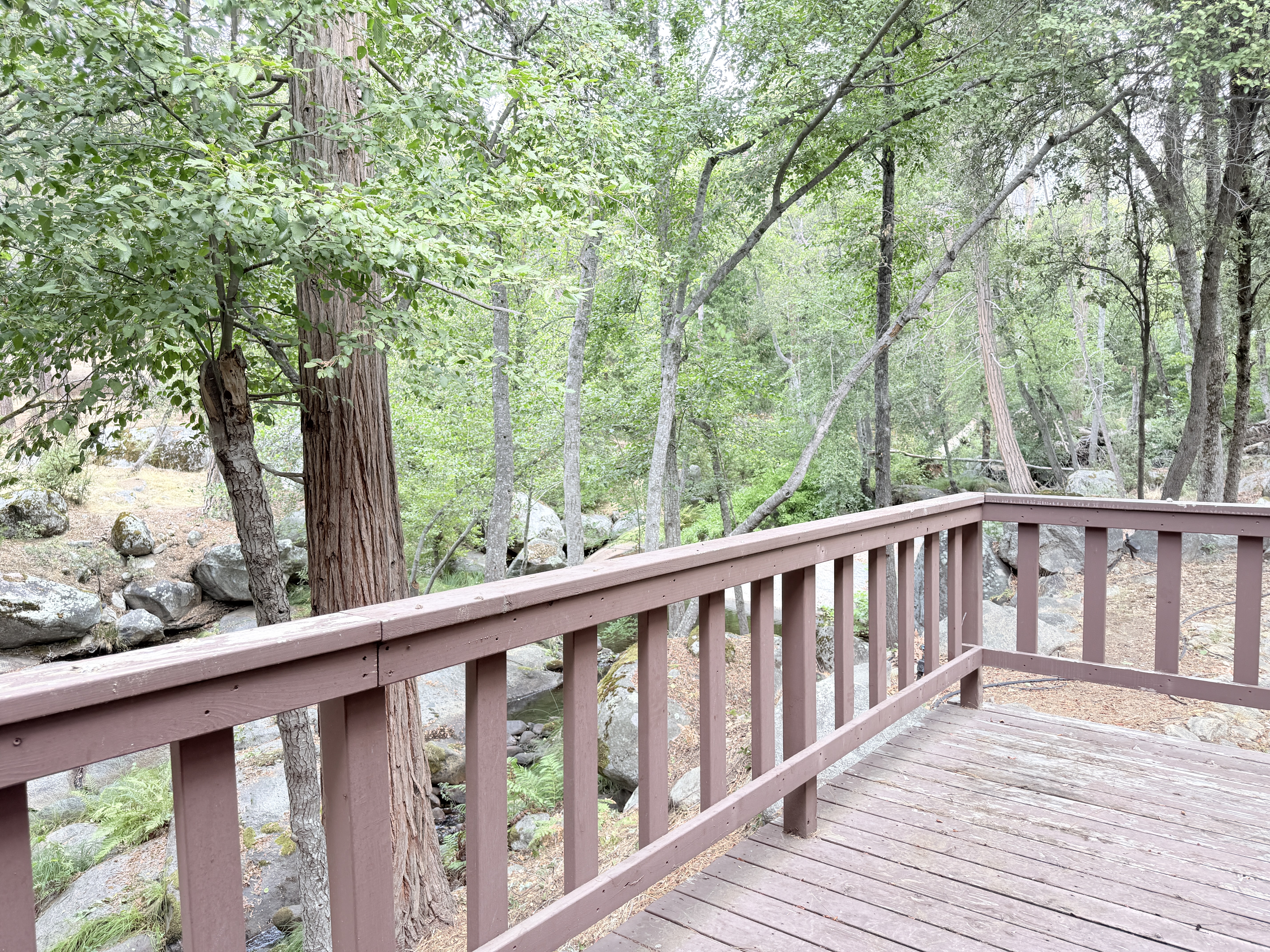 Mariposa, California, 95338, United States, 3 Bedrooms Bedrooms, ,3 BathroomsBathrooms,Residential,For Sale,1973787