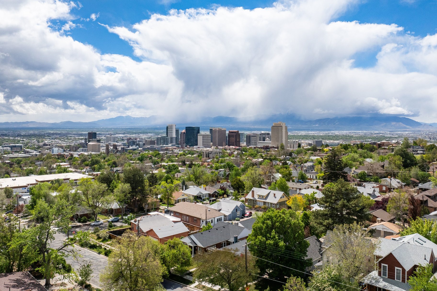  Charming Avenues Home Blending Timeless Character with Everyday Comfort - 物件實景