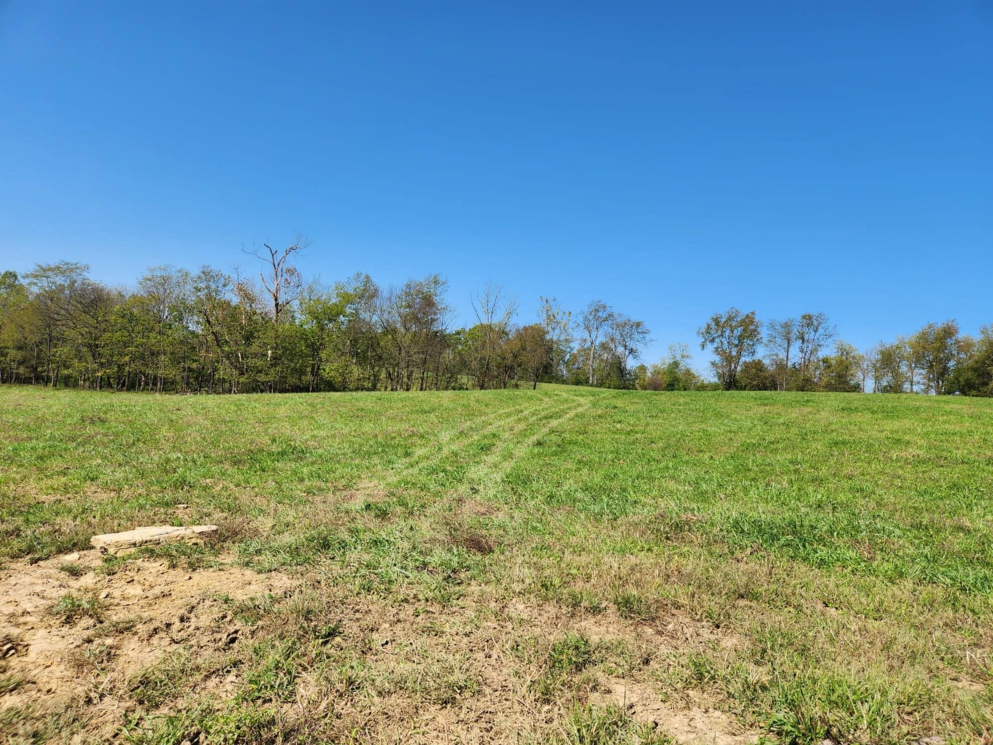 Flemingsburg, Kentucky, 41041, United States, 3 Bedrooms Bedrooms, ,2 BathroomsBathrooms,Residential,For Sale,1915775