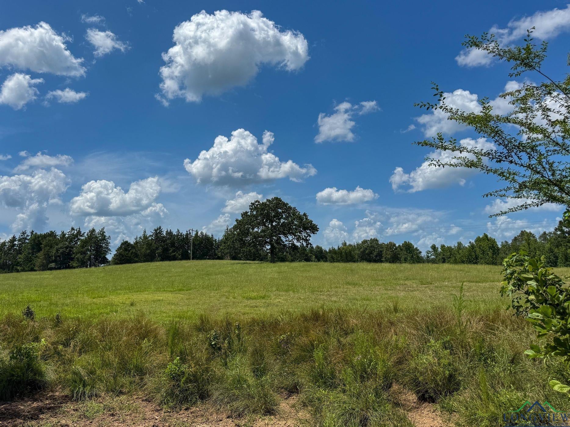 Linden, Texas, 75563, United States, 3 Bedrooms Bedrooms, ,3 BathroomsBathrooms,Residential,For Sale,1974630