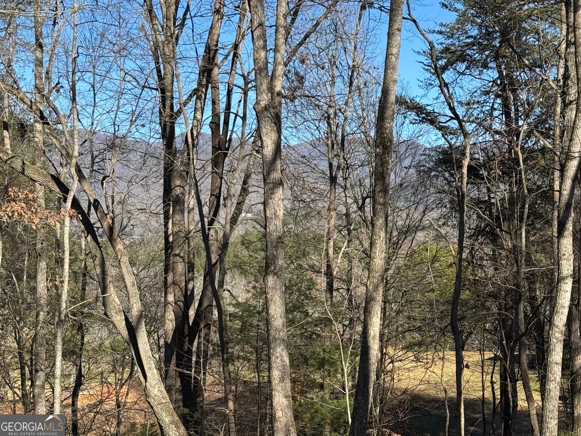 Blairsville, Georgia, 30512, United States, 4 Bedrooms Bedrooms, ,3 BathroomsBathrooms,Residential,For Sale,1859047