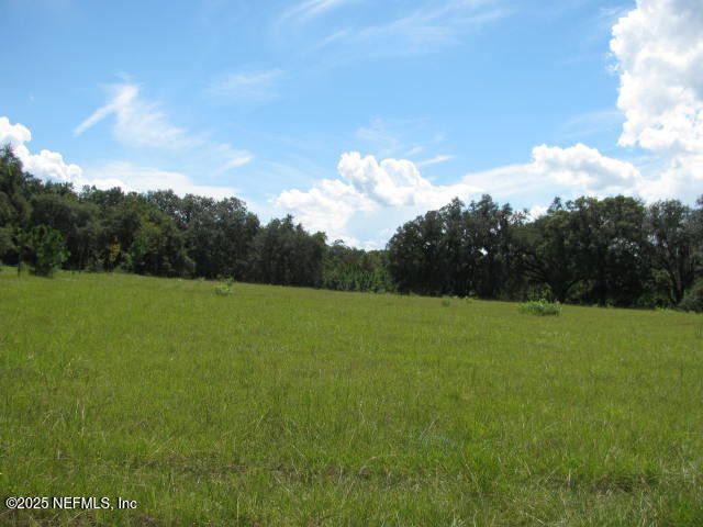 Crescent City, Florida, 32112, United States, ,Land,For Sale,1974247