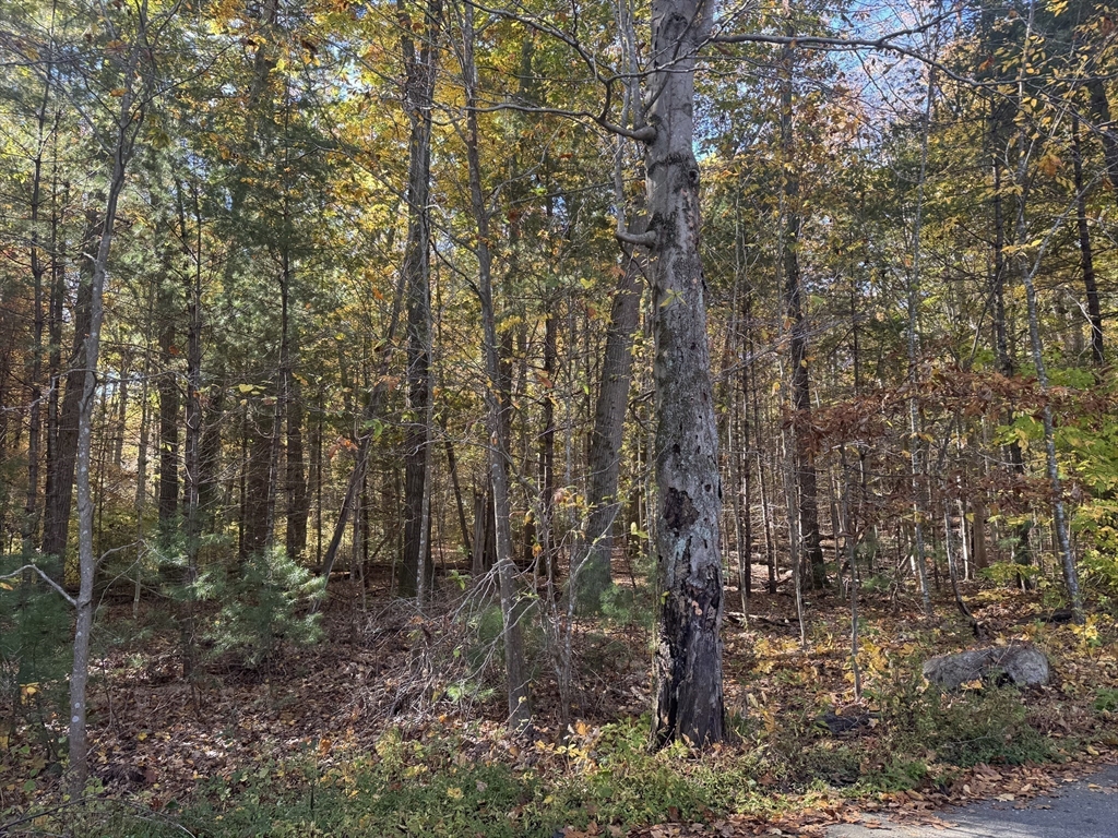 Beverly, Massachusetts, 01915, United States, ,Land,For Sale,1971674