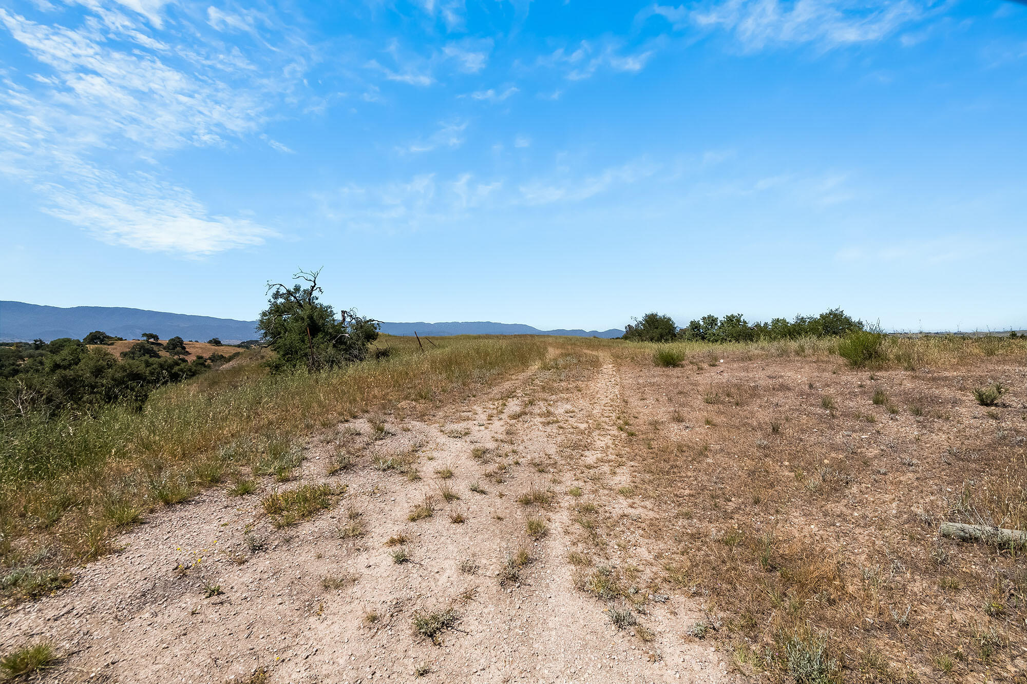 Santa Ynez, California, 93460, United States, 3 Bedrooms Bedrooms, ,3 BathroomsBathrooms,Residential,For Sale,1828139