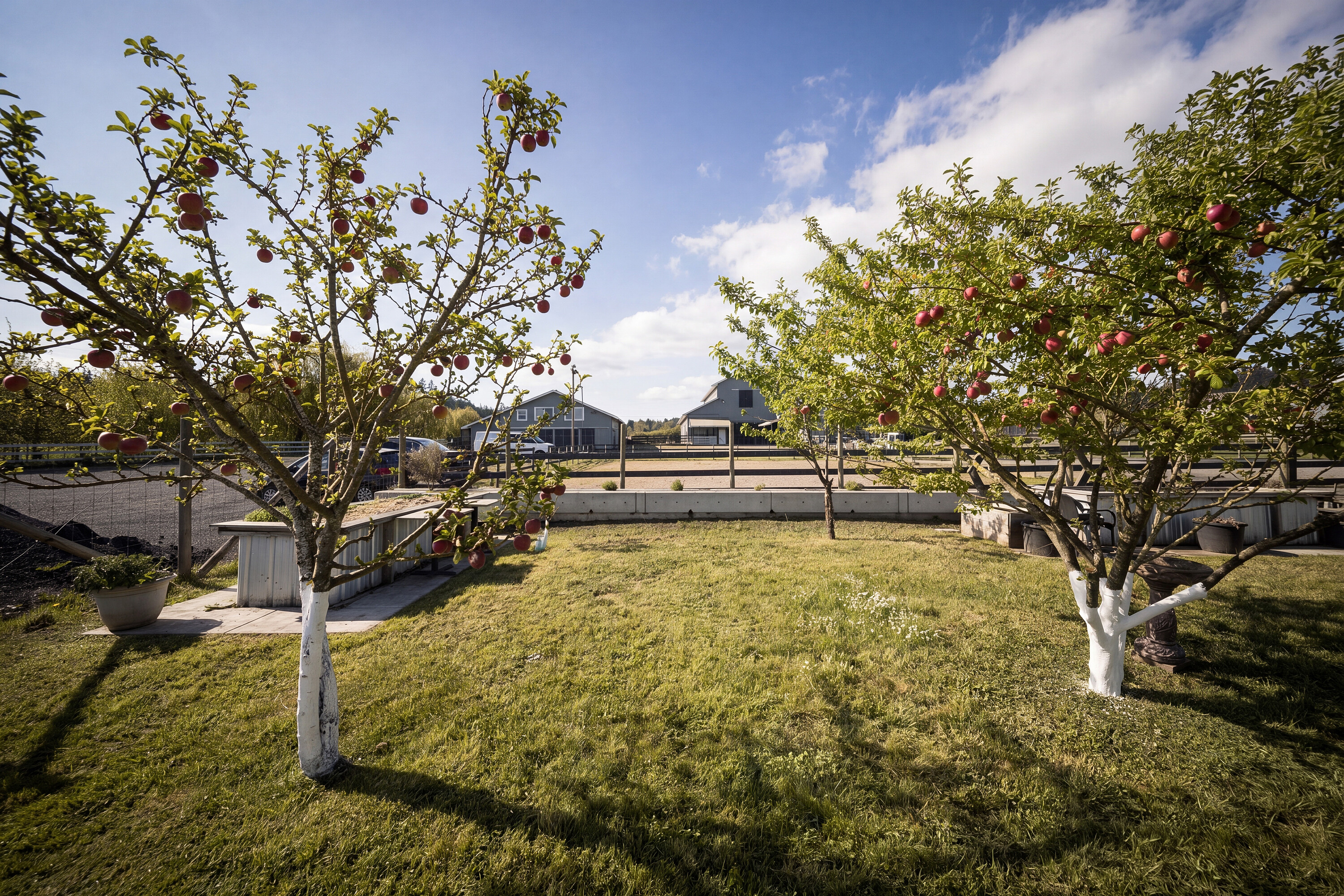  Exquisite Equestrian Estate - 物件實景
