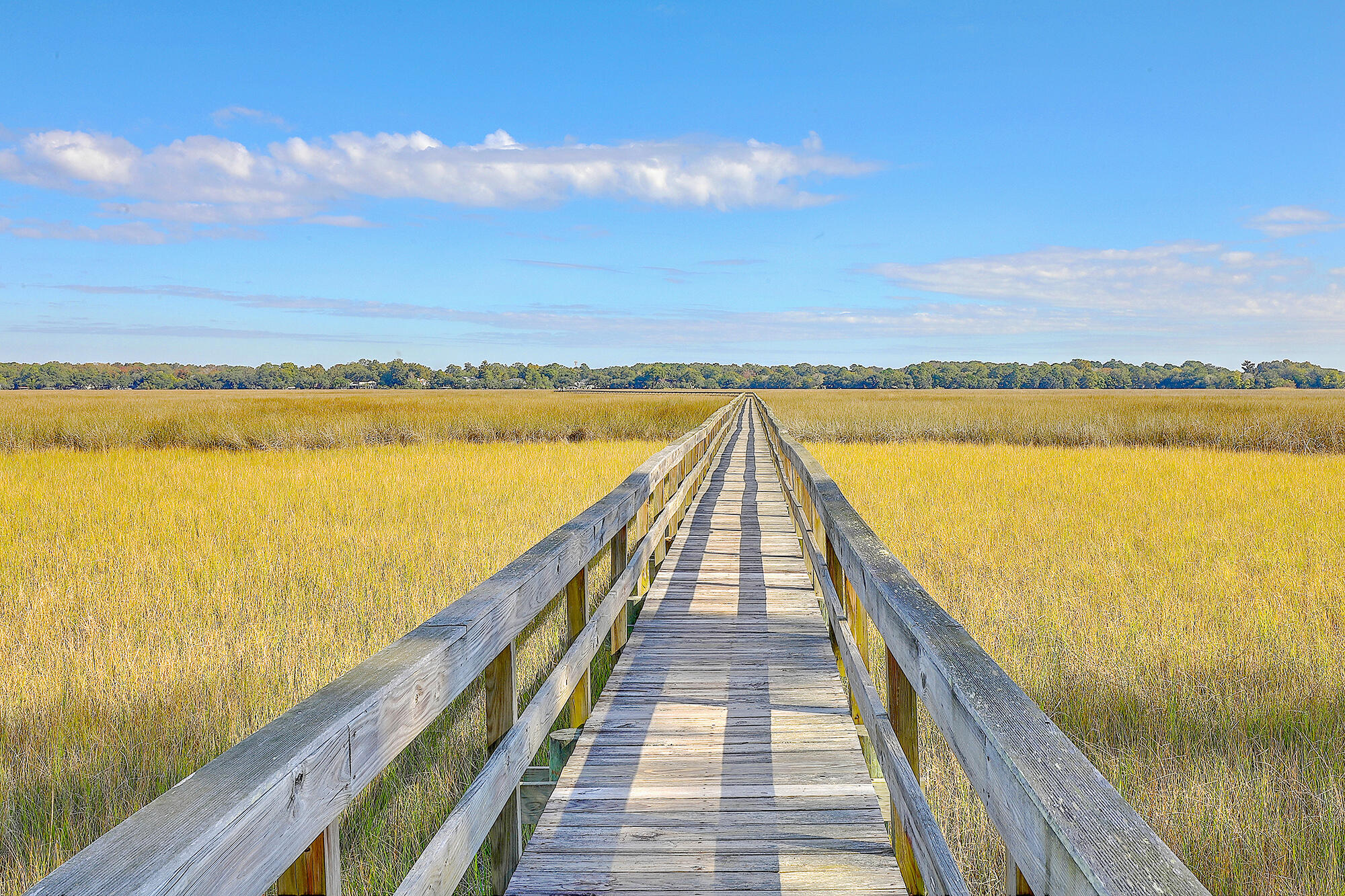 Charleston, South Carolina, 29414, United States, 4 Bedrooms Bedrooms, ,4 BathroomsBathrooms,Residential,For Sale,1895011