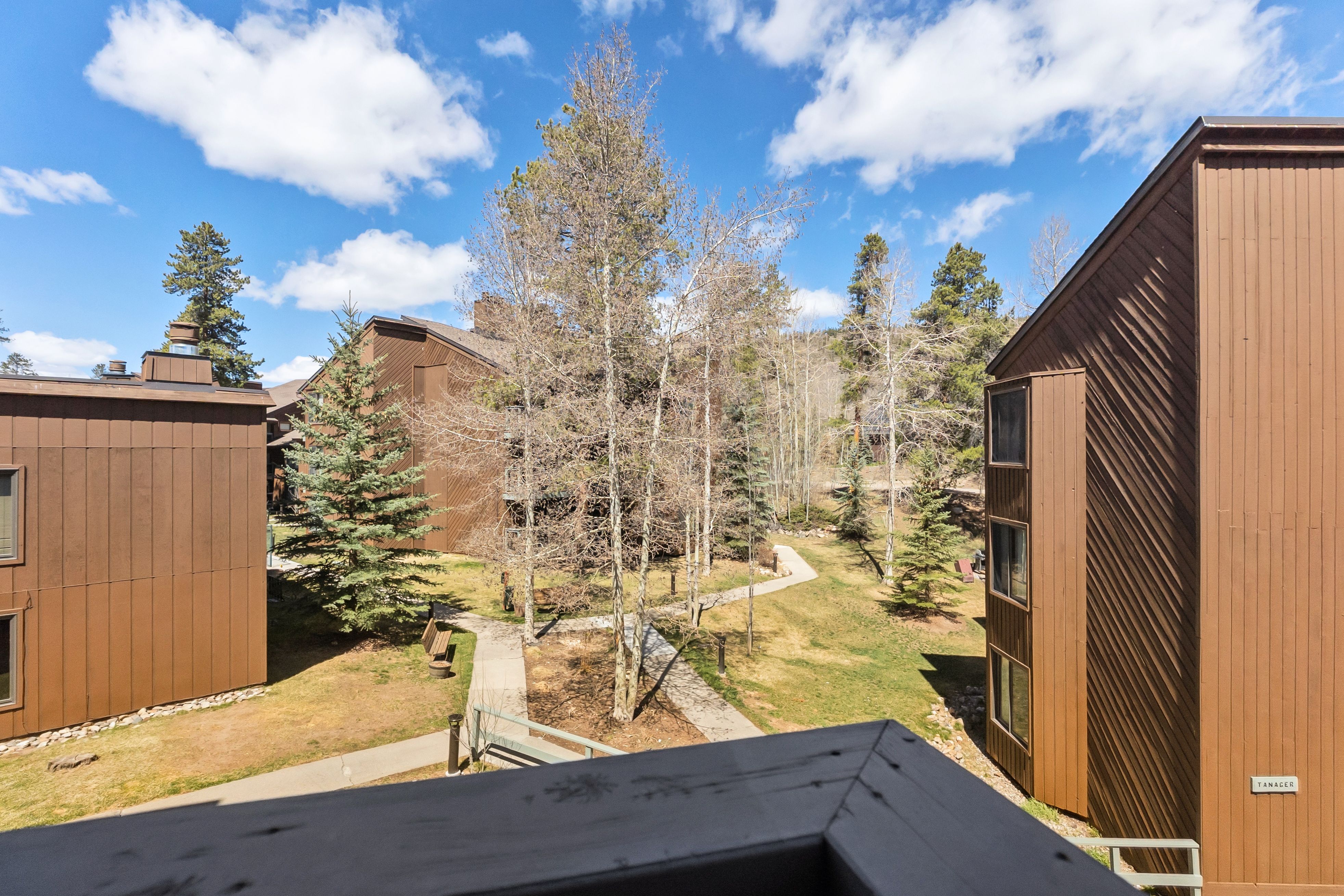  423 Wild Irishman Road, Dillon, CO, 80435 - 物件實景