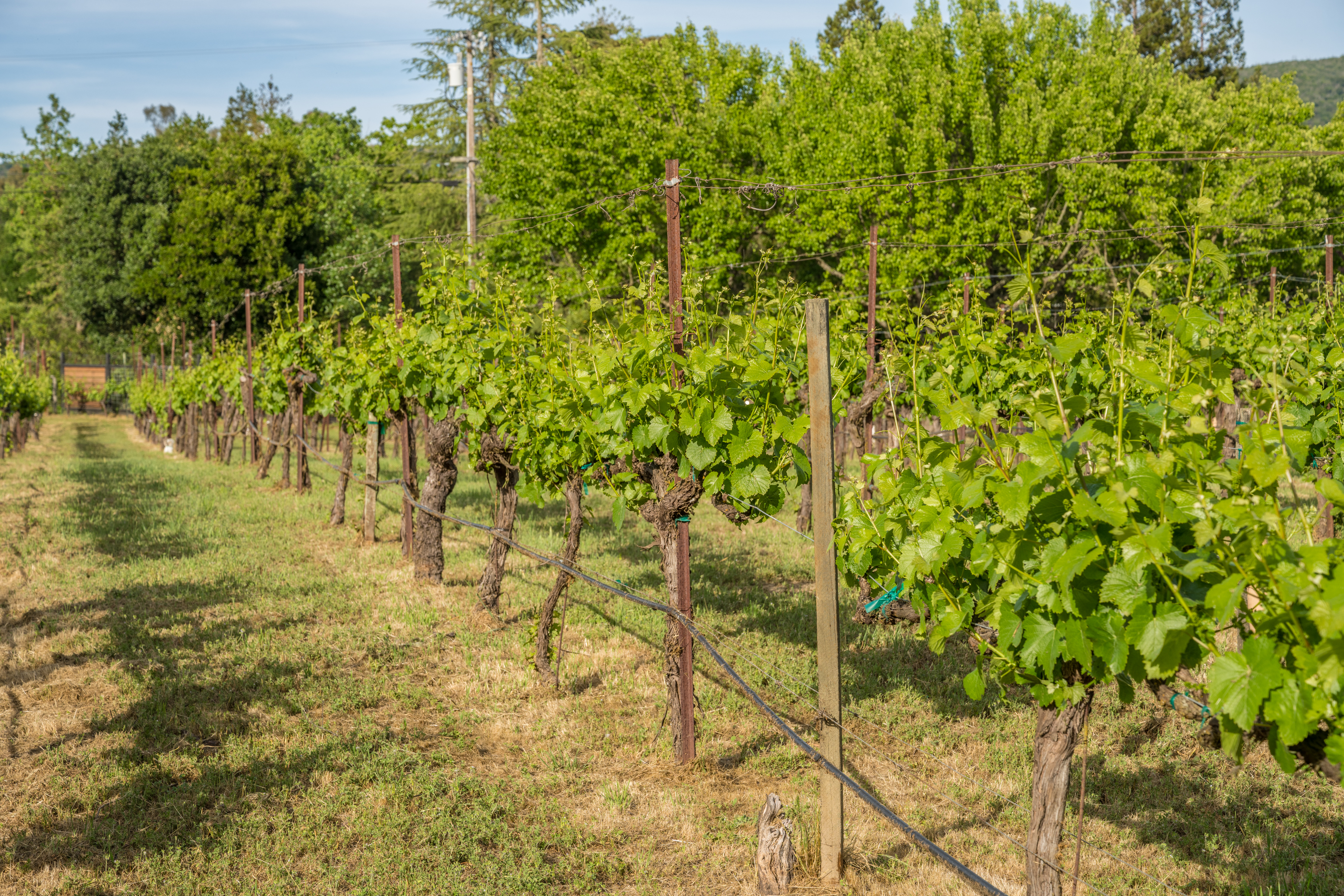  20760 Hyde Road - 物件實景