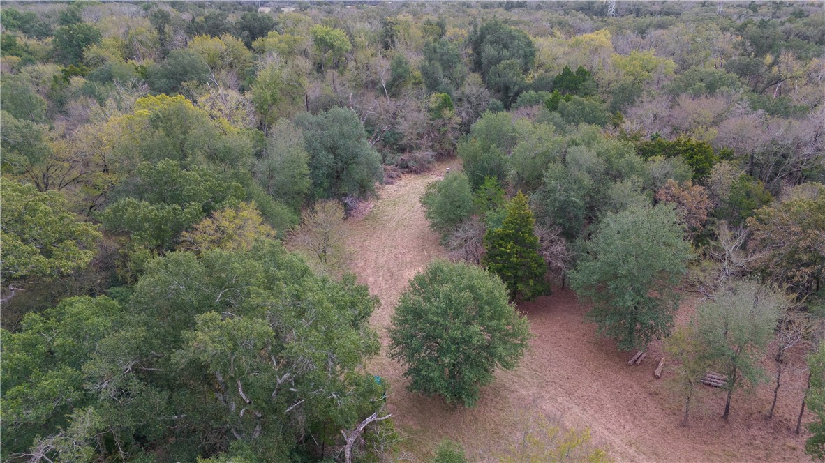 Thornton, Texas, 76687, United States, ,Land,For Sale,2003074