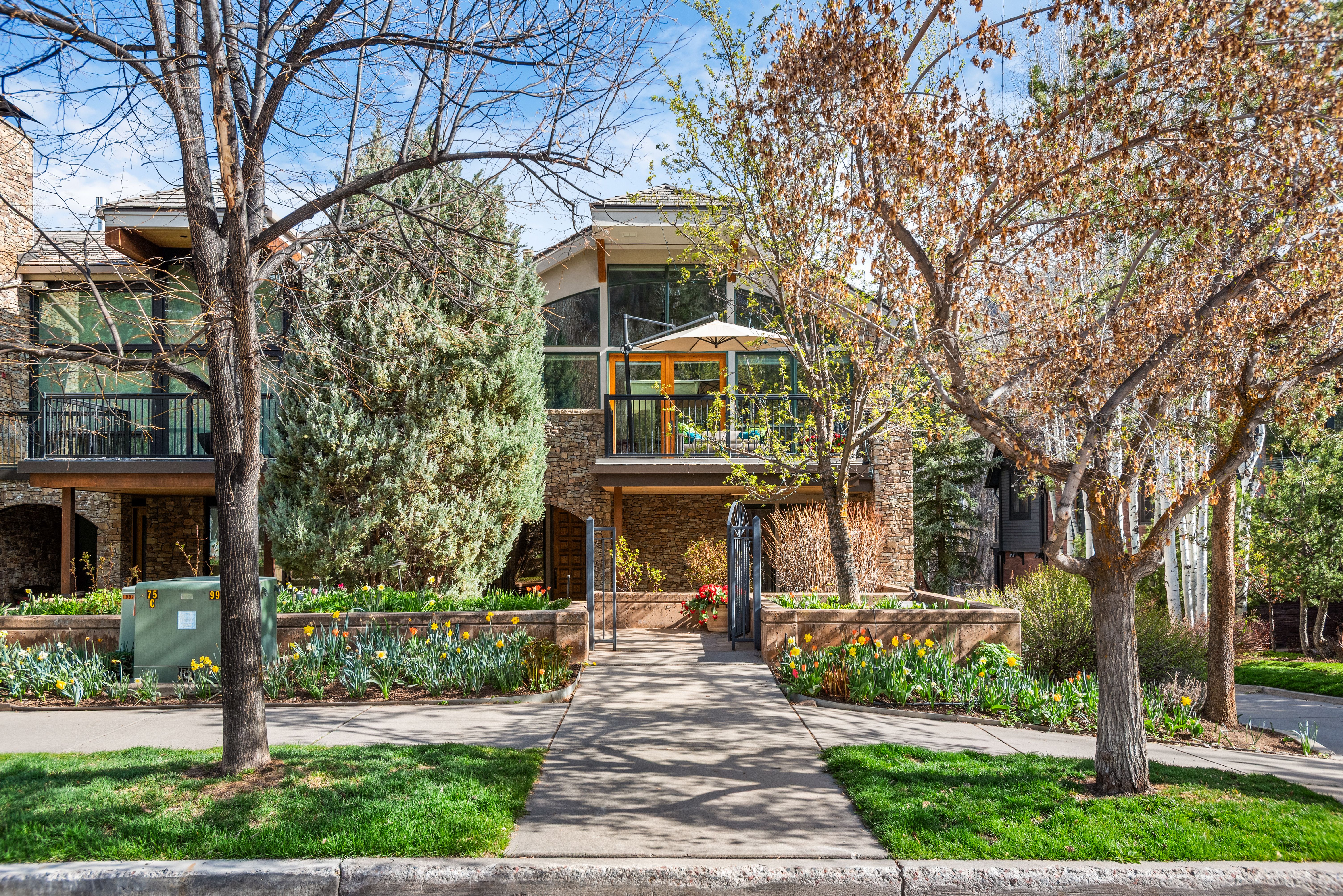  990 E Hopkins Avenue, Aspen, CO, 81611 - 物件實景