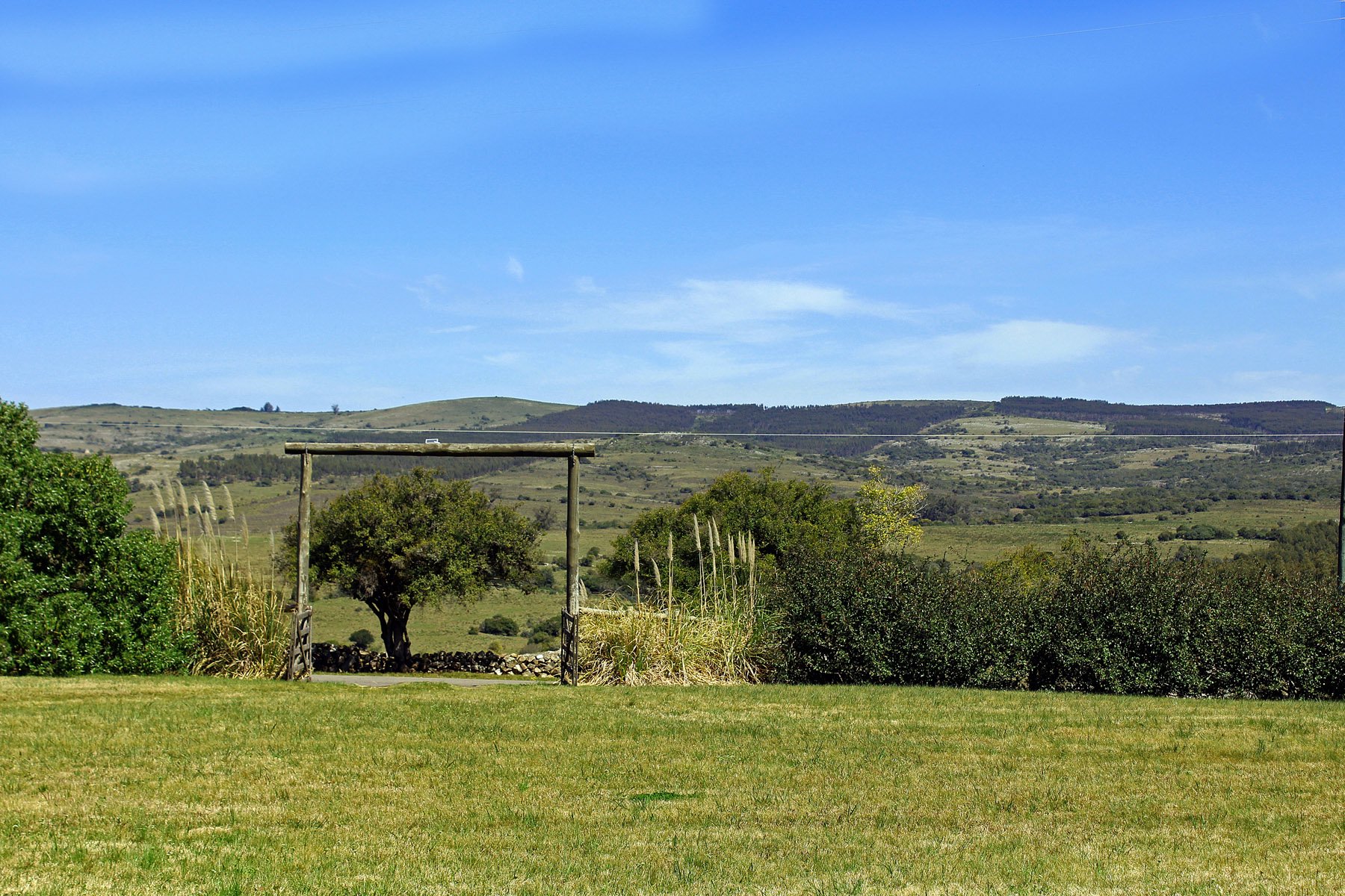  Farm with olive groves in Pueblo Edén - 物件實景