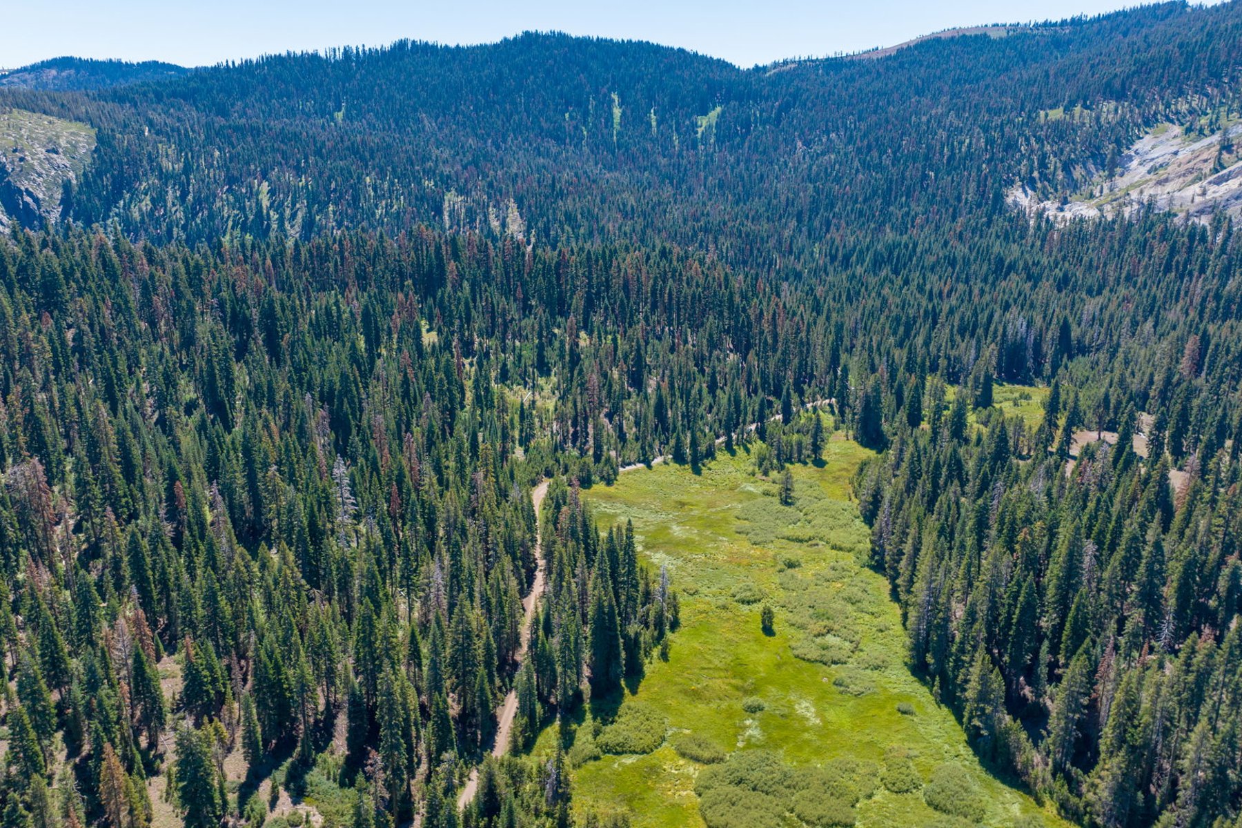  80 Acres of Pristine Land in the Middle of Plumas Eureka State Park - 物件實景