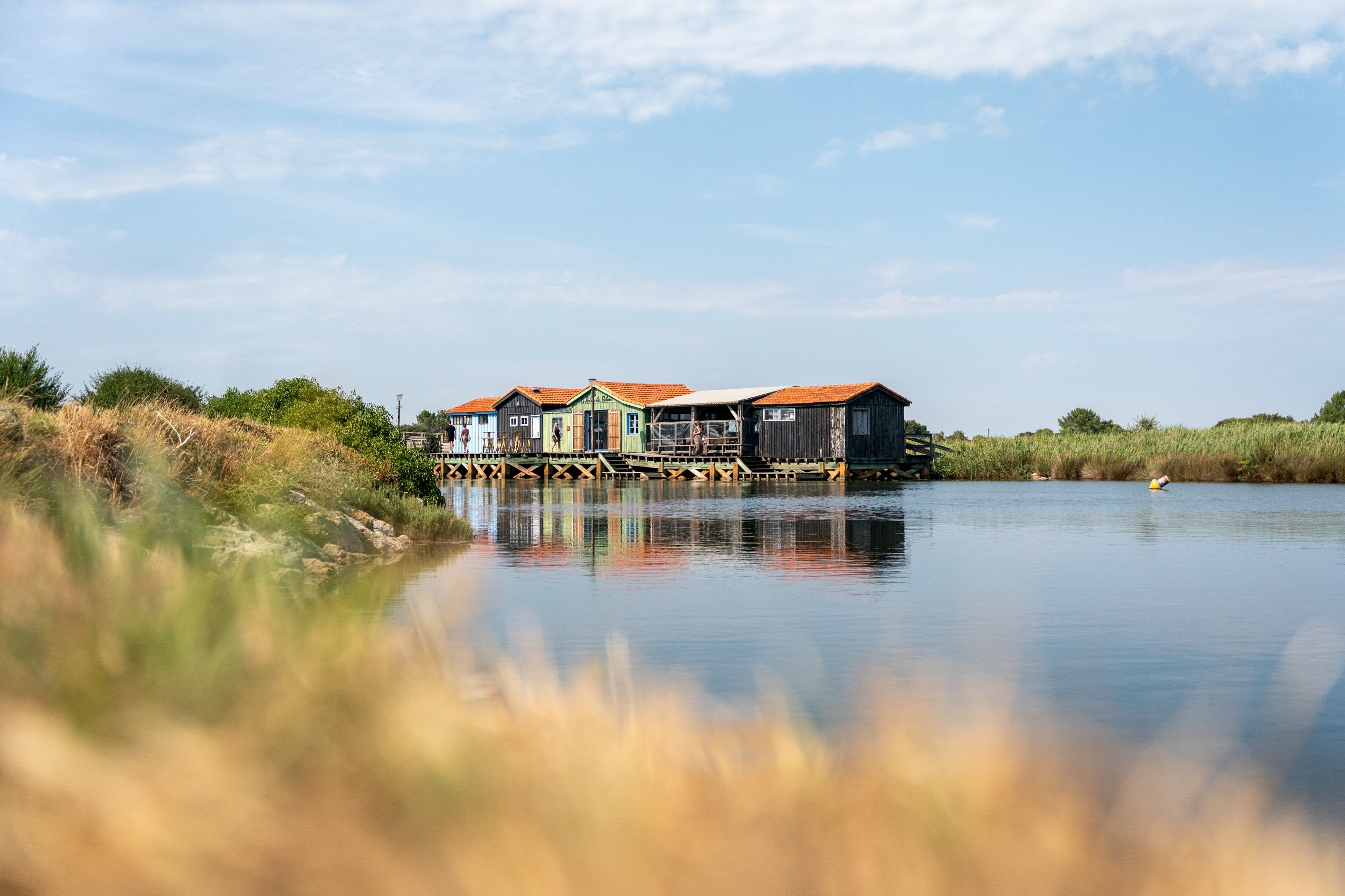  Between marshland and light, a haven of serenity on the Île d