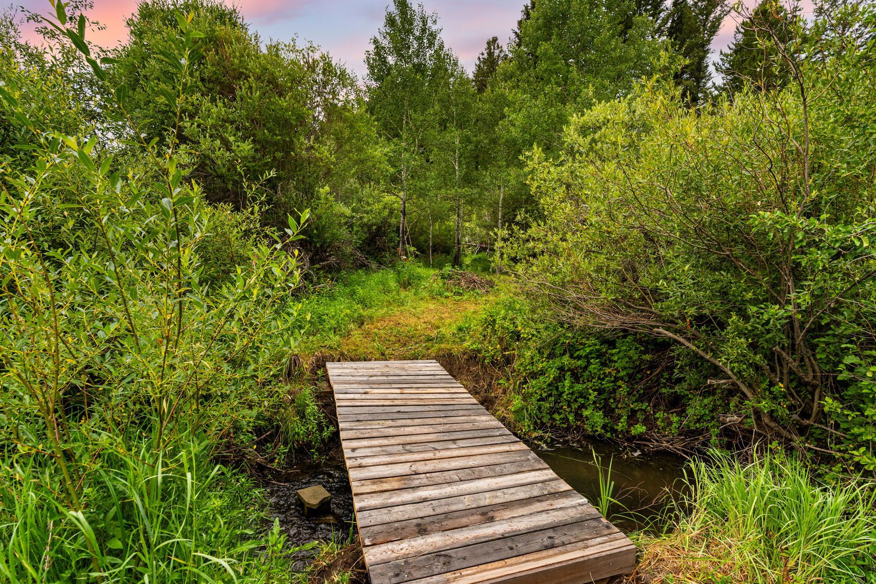  215 Timberline Creek Dr - 物件實景