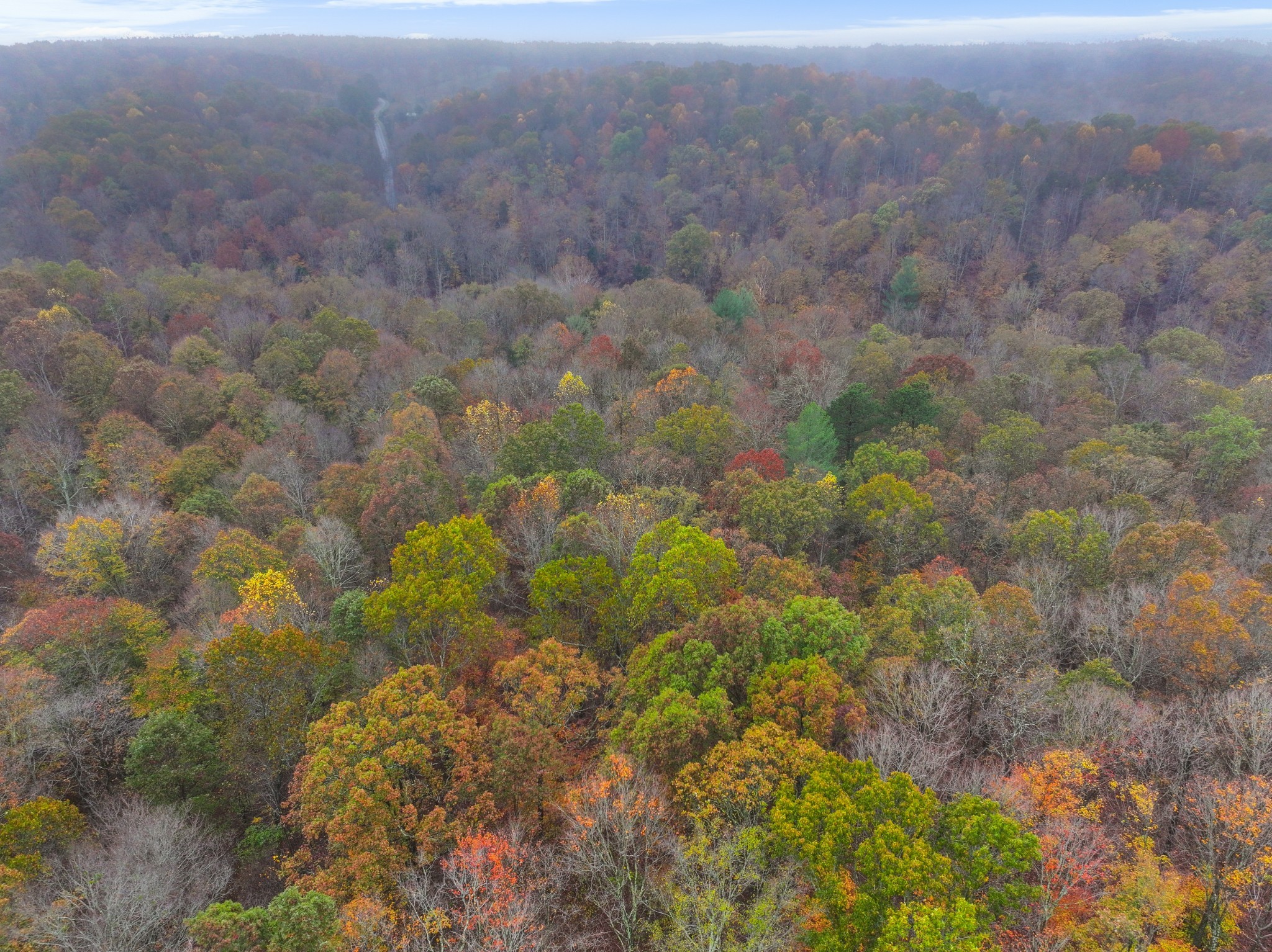 Cunningham, Tennessee, 37052, United States, ,Residential,For Sale,1920443