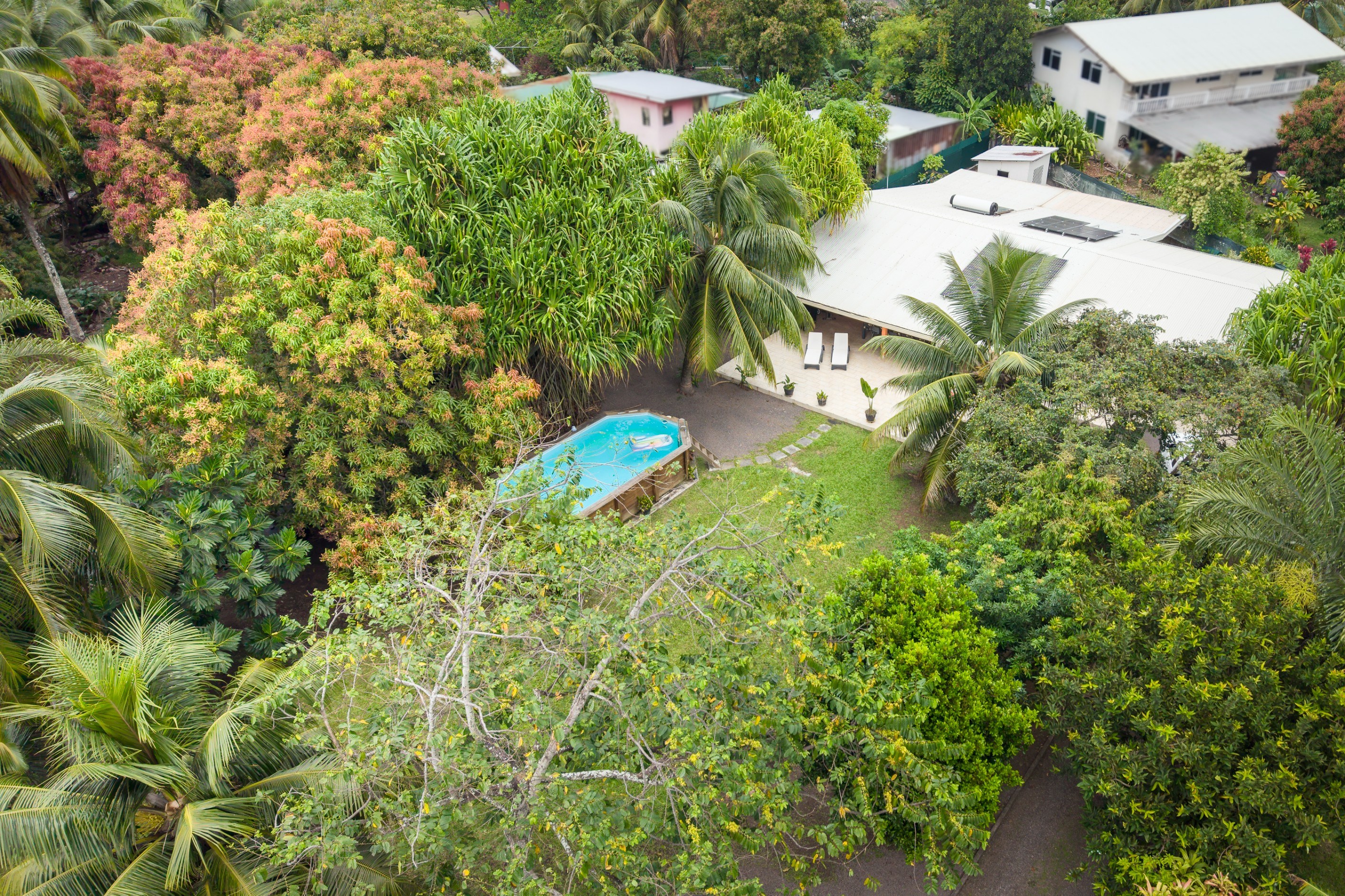  Tahiti - Papara - Three-Bedroom House with Pool and Garden - 物件實景