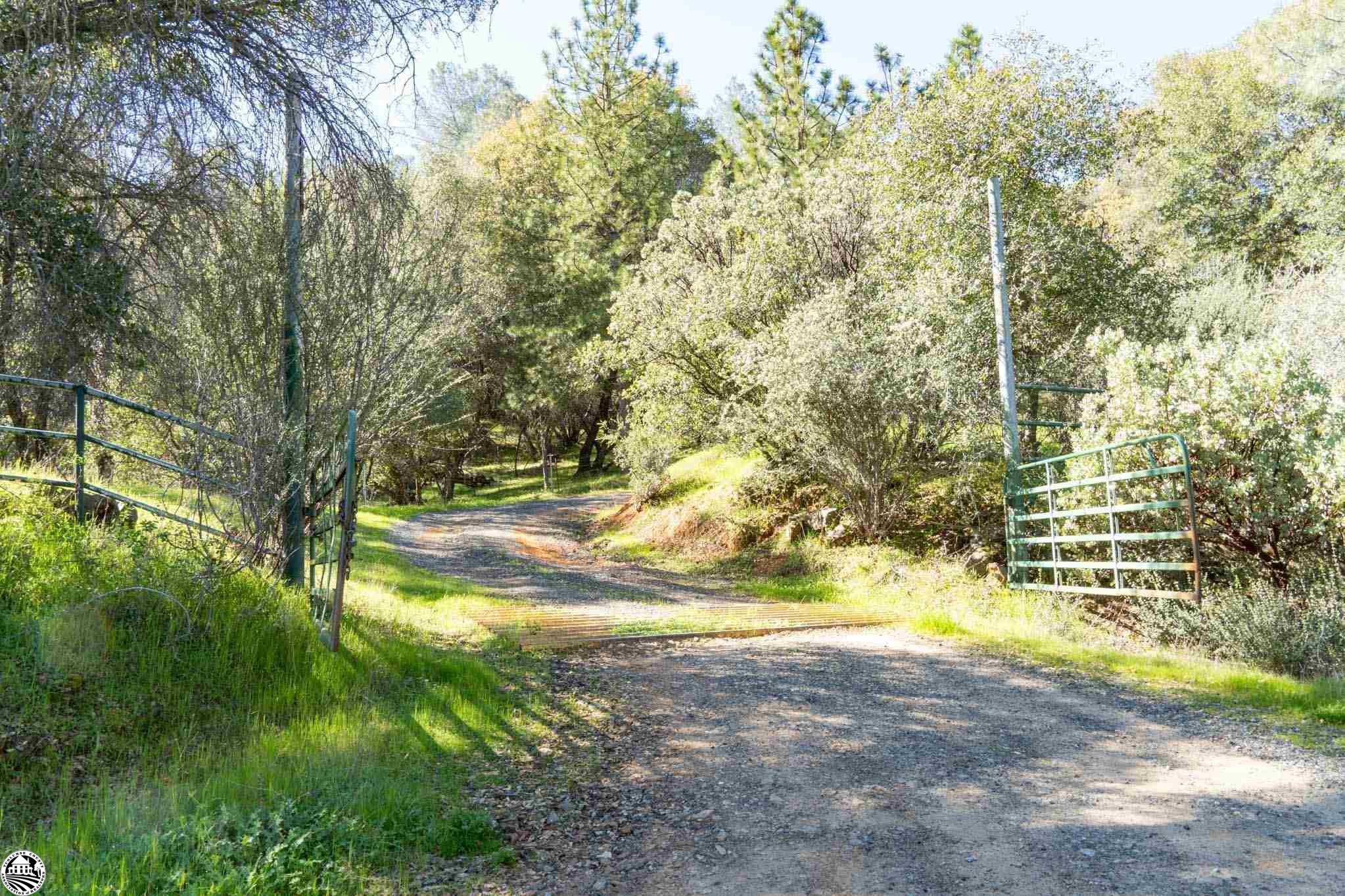 16551 Wards Ferry Rd, Big Oak Flat, California, 95305, United States, ,Land,For Sale,16551 Wards Ferry Rd,1554958