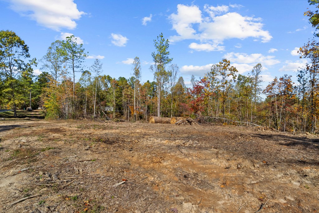 Rice, Virginia, 23966, United States, 3 Bedrooms Bedrooms, ,2 BathroomsBathrooms,Residential,For Sale,1982406