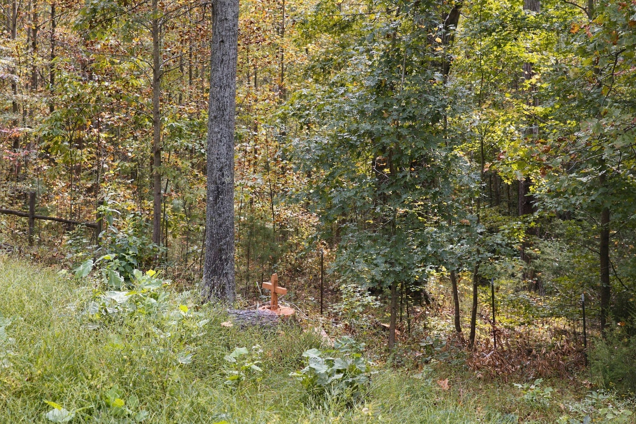  5580 Powell Sullivan Rd, Franklin, TN, 37064 - 物件實景