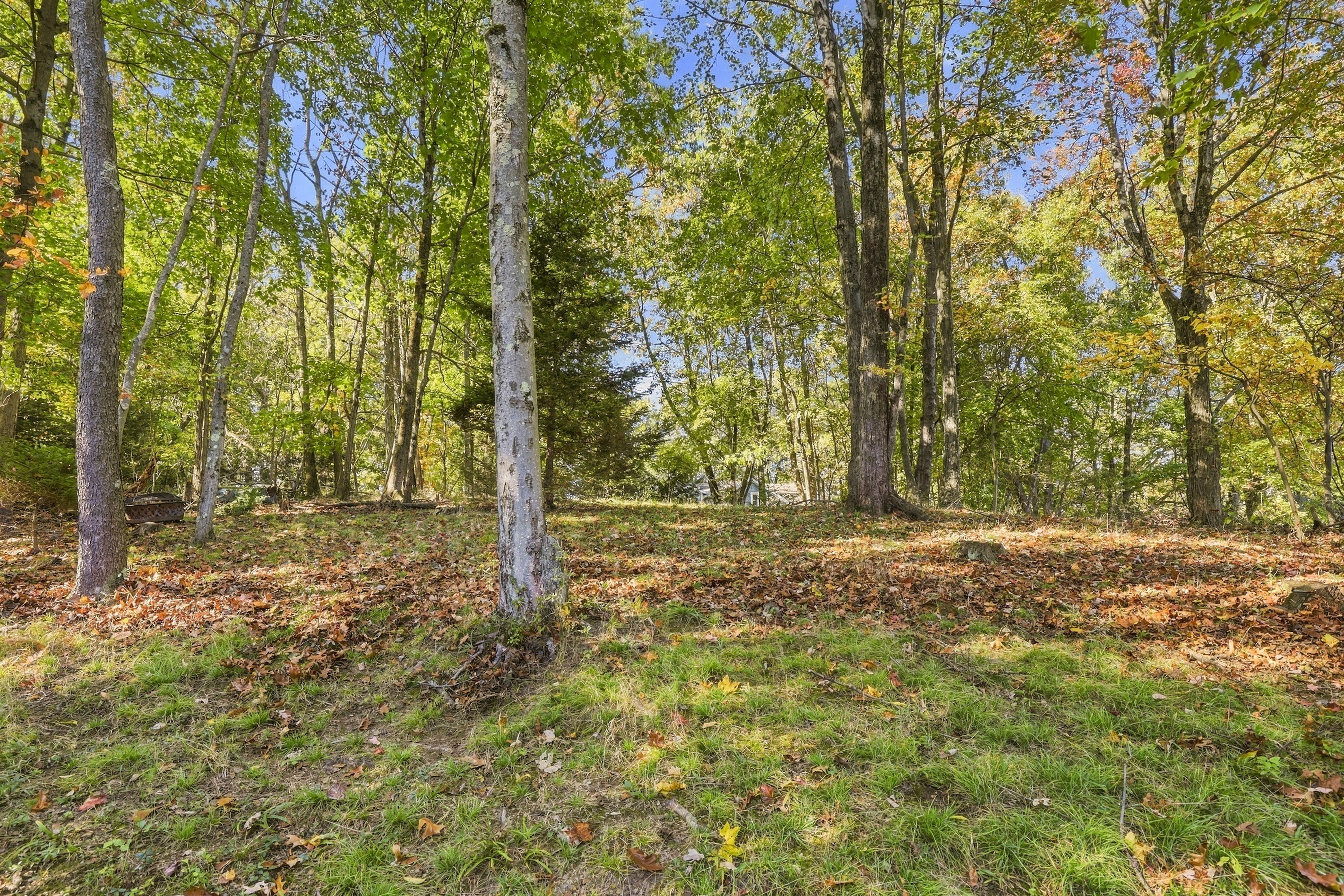  213 Bradford Road, Bradford Woods, PA 15015 - 物件實景