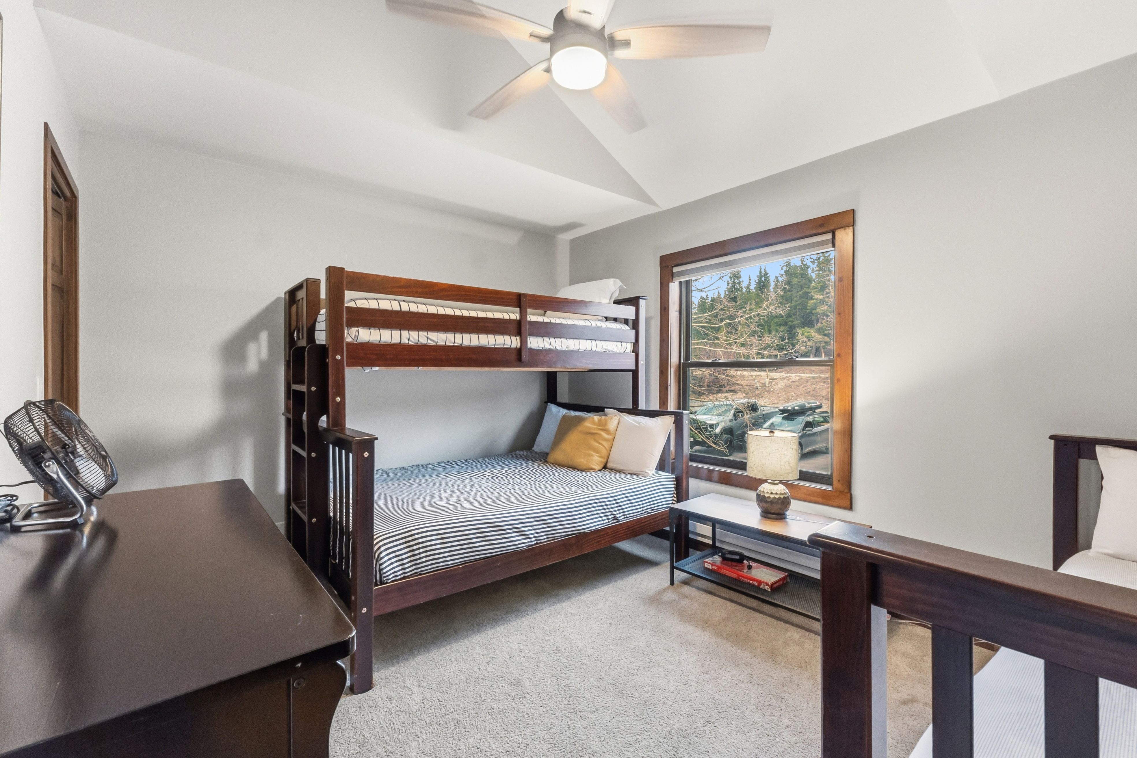  53 Atlantic Lode Road, Breckenridge, CO, 80424 - 物件實景