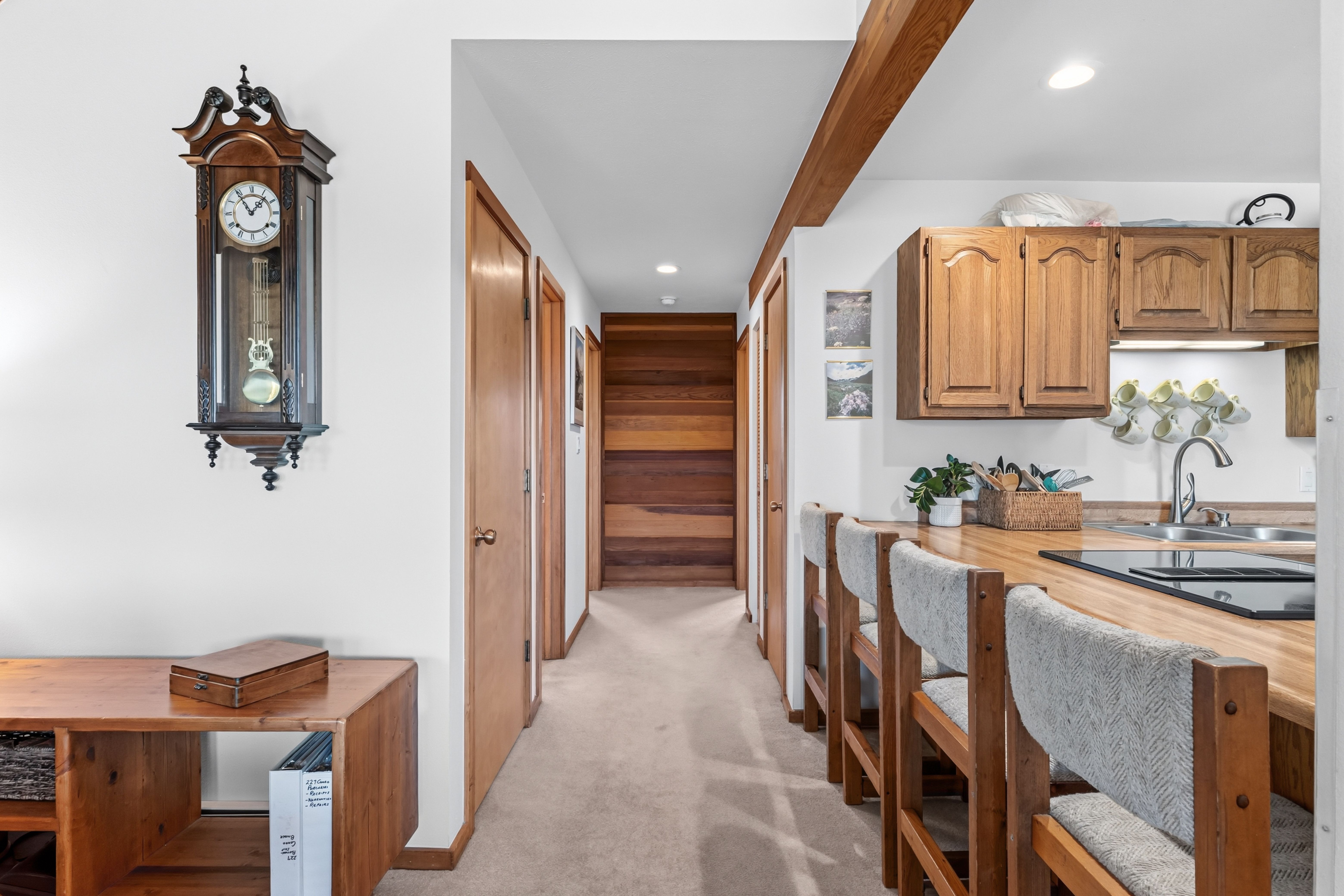  91200 Ryan Gulch Road, Silverthorne, CO, 80498 - 物件實景