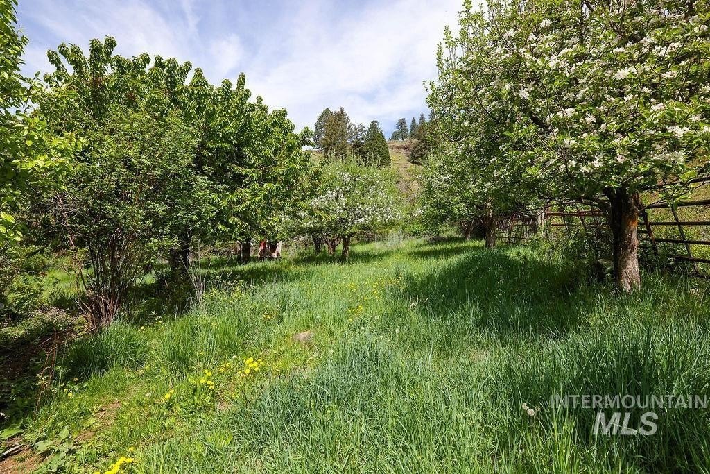 Riggins, Idaho, 83549, United States, 2 Bedrooms Bedrooms, ,1 BathroomBathrooms,Residential,For Sale,1826044