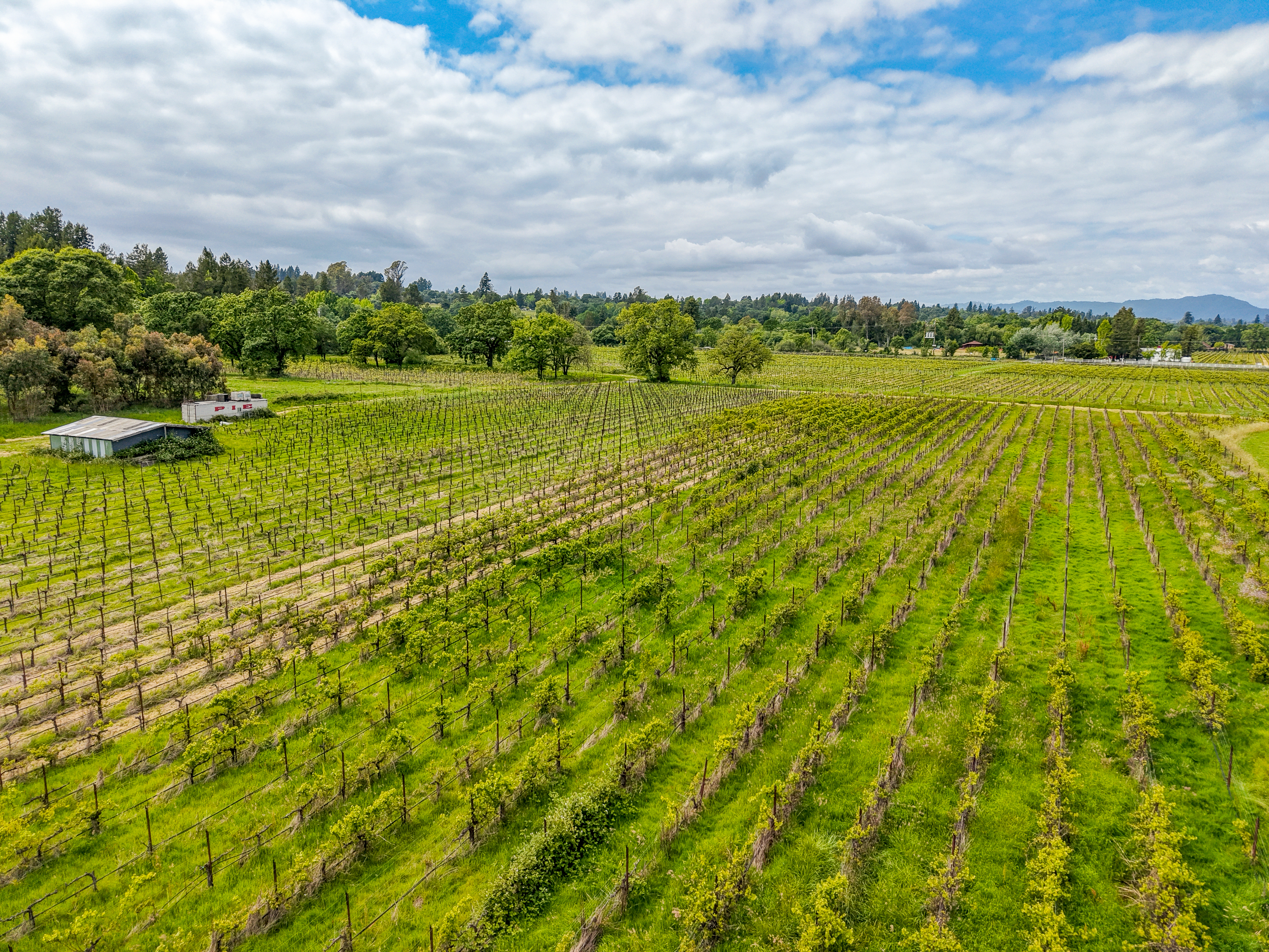  9700 Mill Station Road, Sebastopol, CA 95472 - 物件實景