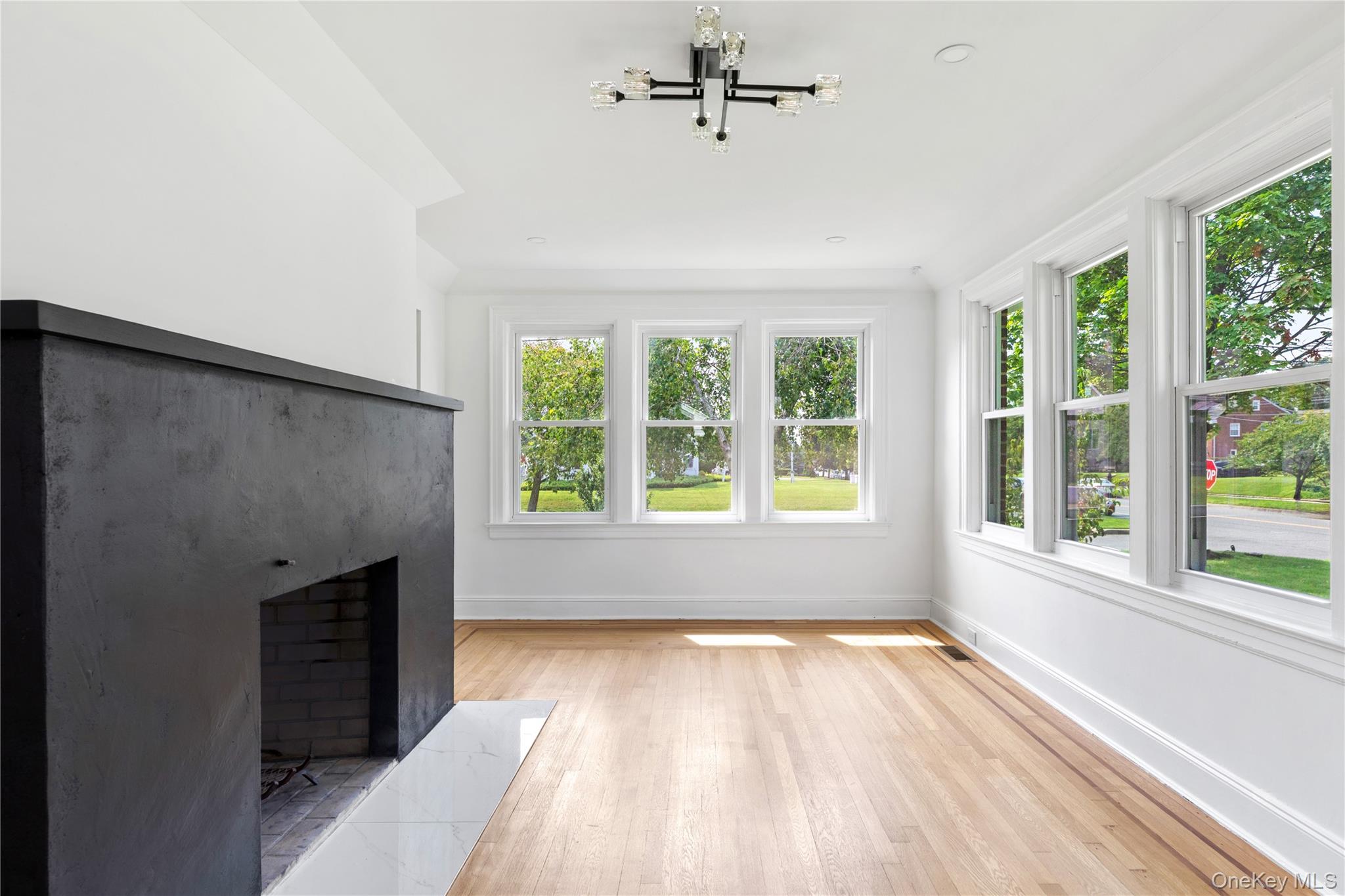  220 Pomander Road, Mineola, NY, 11501 - 物件實景