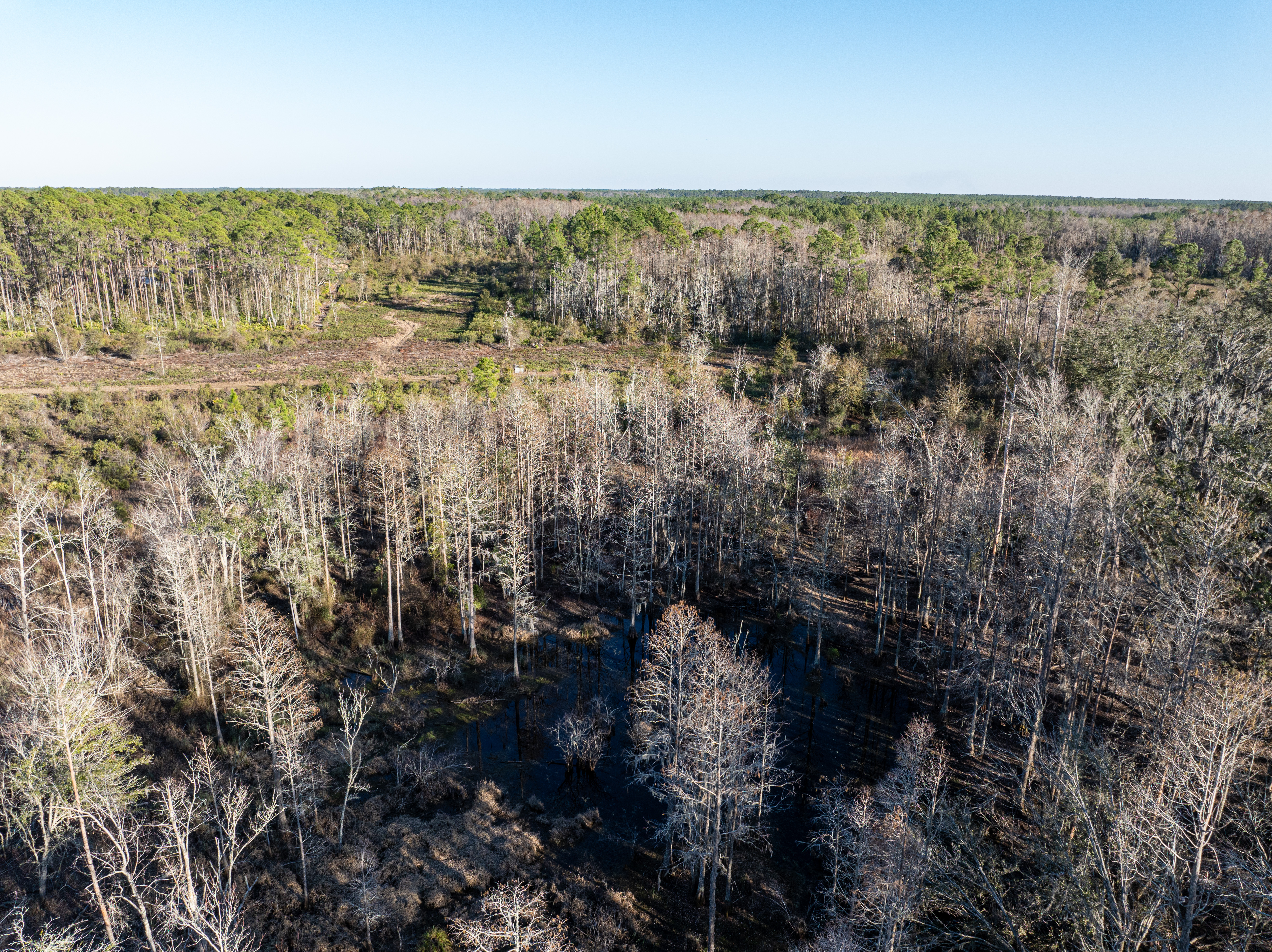 2418 NE OMAR TER, Lake City, Florida, 32055, United States, ,Land,For Sale,2418 NE OMAR TER,1680072