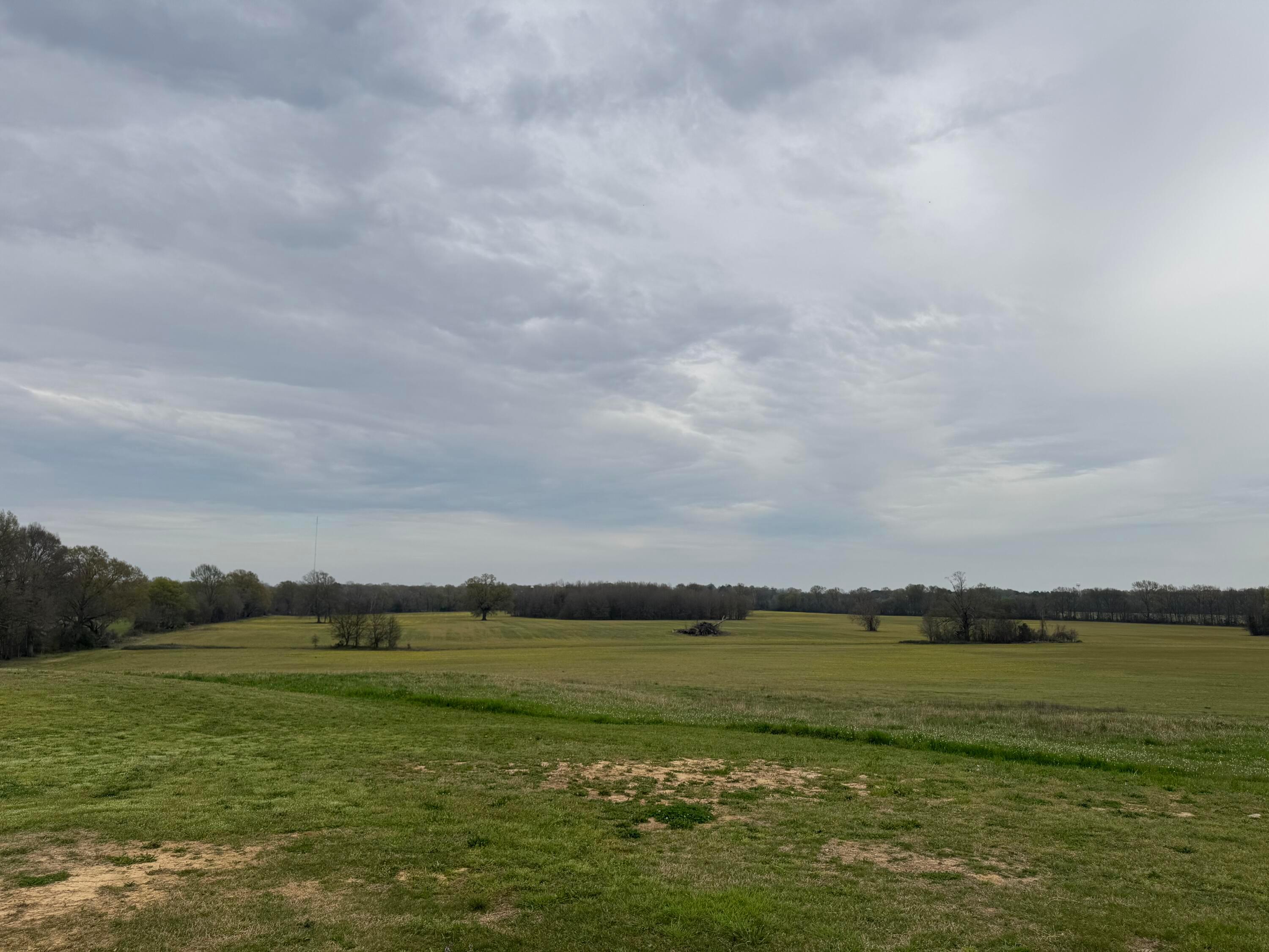 Guntown, Mississippi, 38849, United States, 4 Bedrooms Bedrooms, ,3 BathroomsBathrooms,Residential,For Sale,1947113