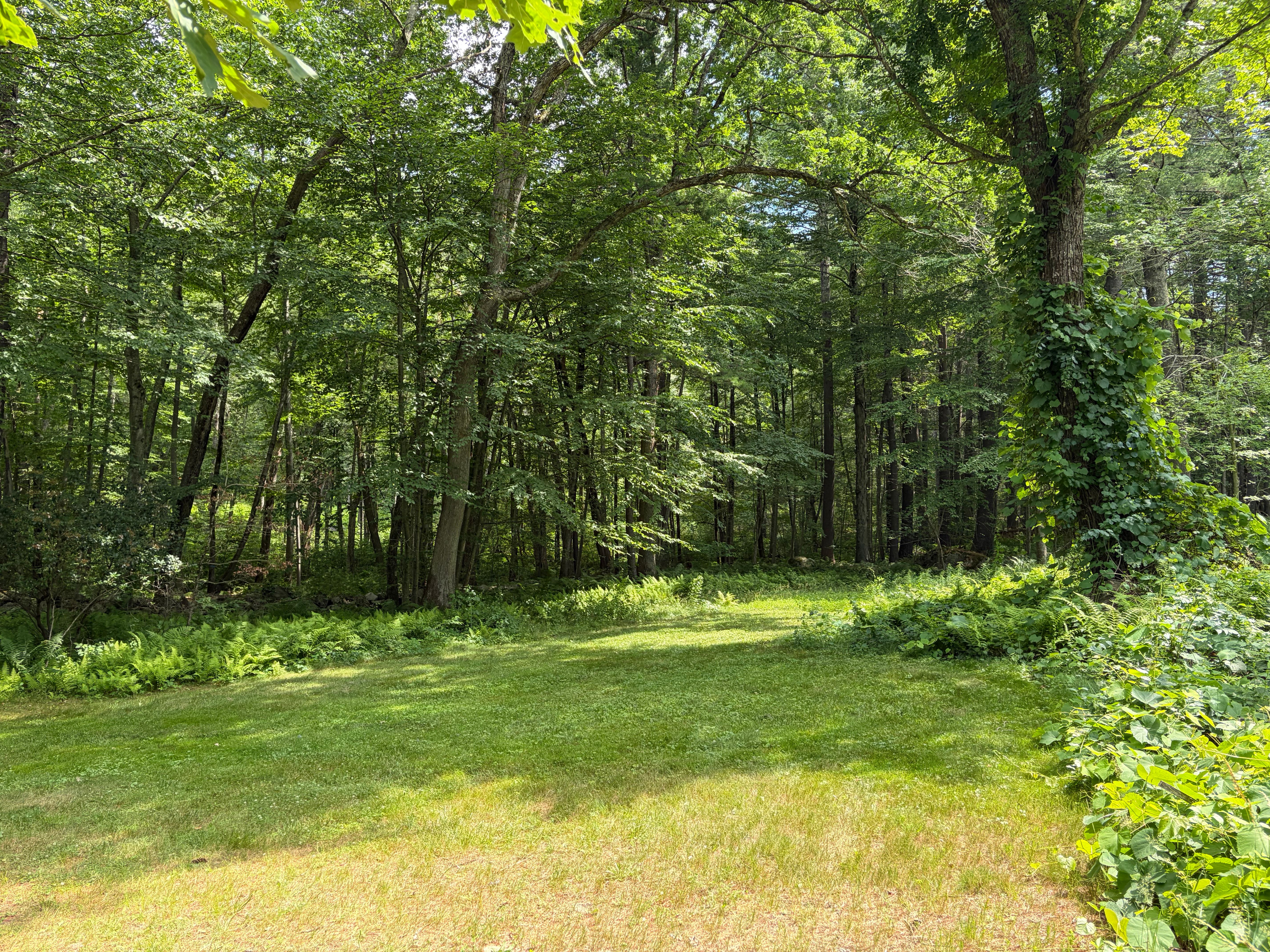  0 Judy Farm Road, Carlisle, MA, 01741 - 物件實景