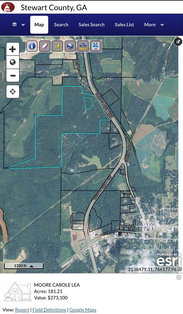 Richland, Georgia, 31825, United States, ,Residential,For Sale,1947054